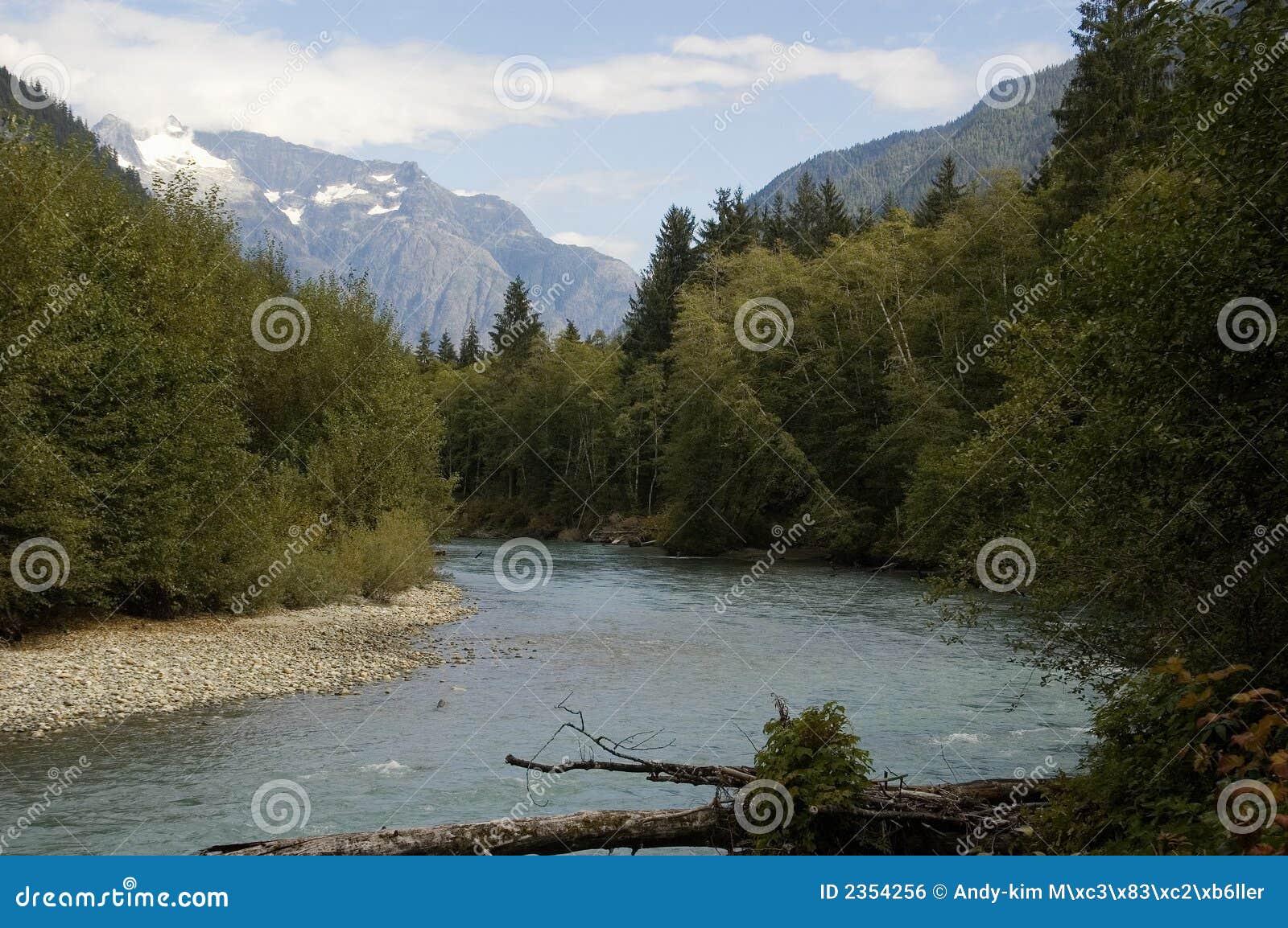 Canadian salmon river stock photo. Image of brooks, creeks 2354256