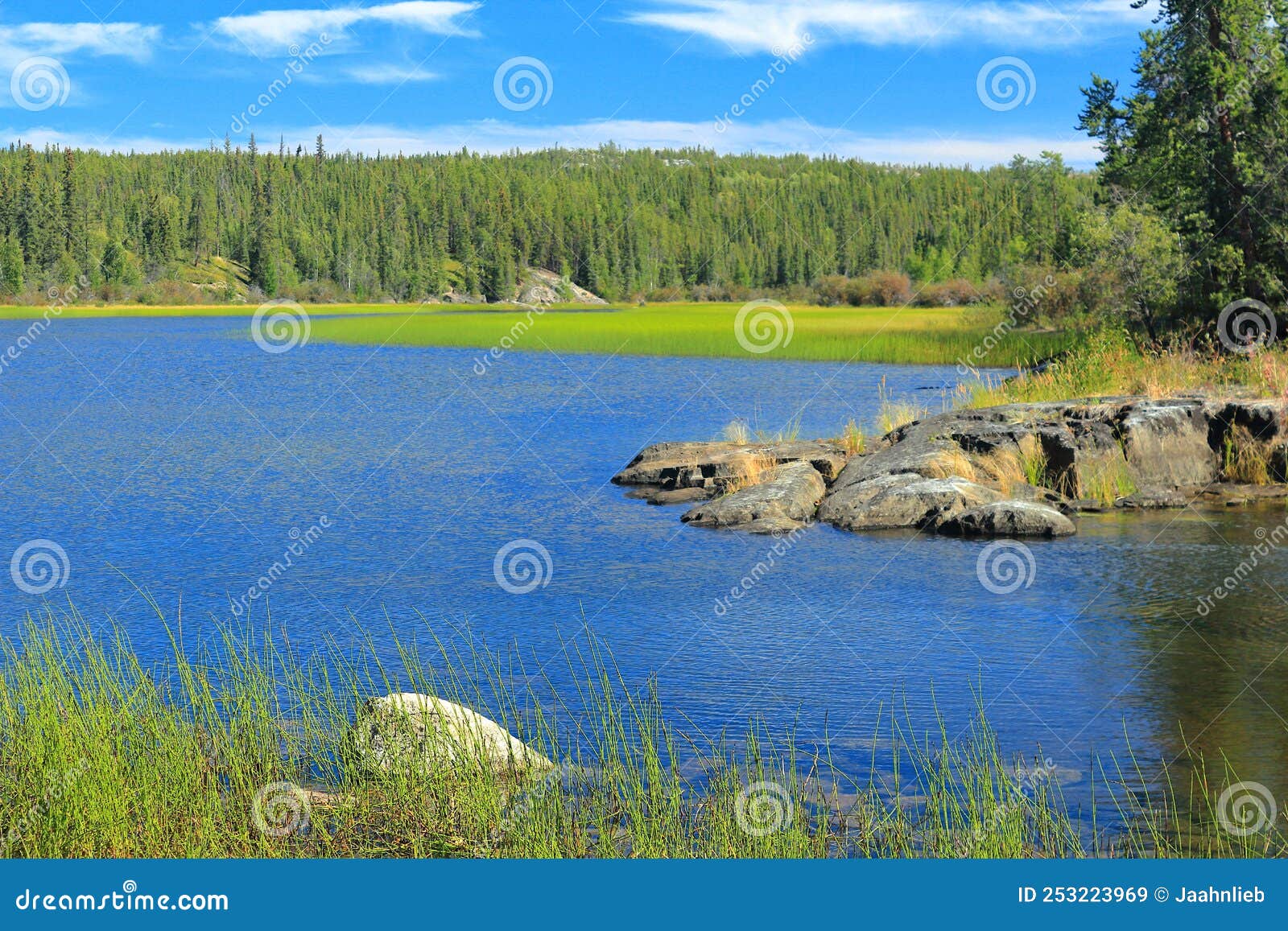 canadian shield rock outcroppings with cameron river flowing through reeds and rocks, hidden lake territorial park, canada