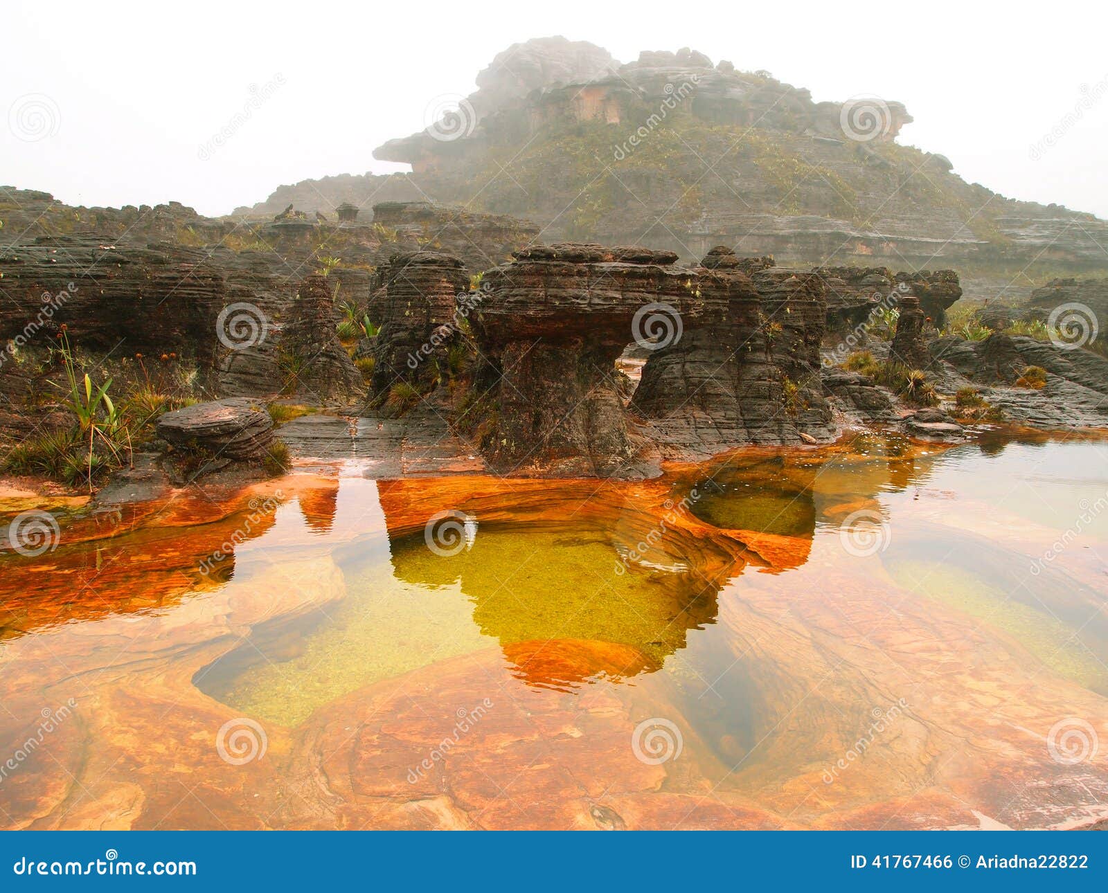 canaima national park. venezuela.