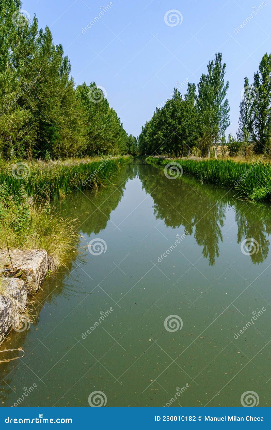 canal de castilla used to irrigate the harvest fields, palencia, spain