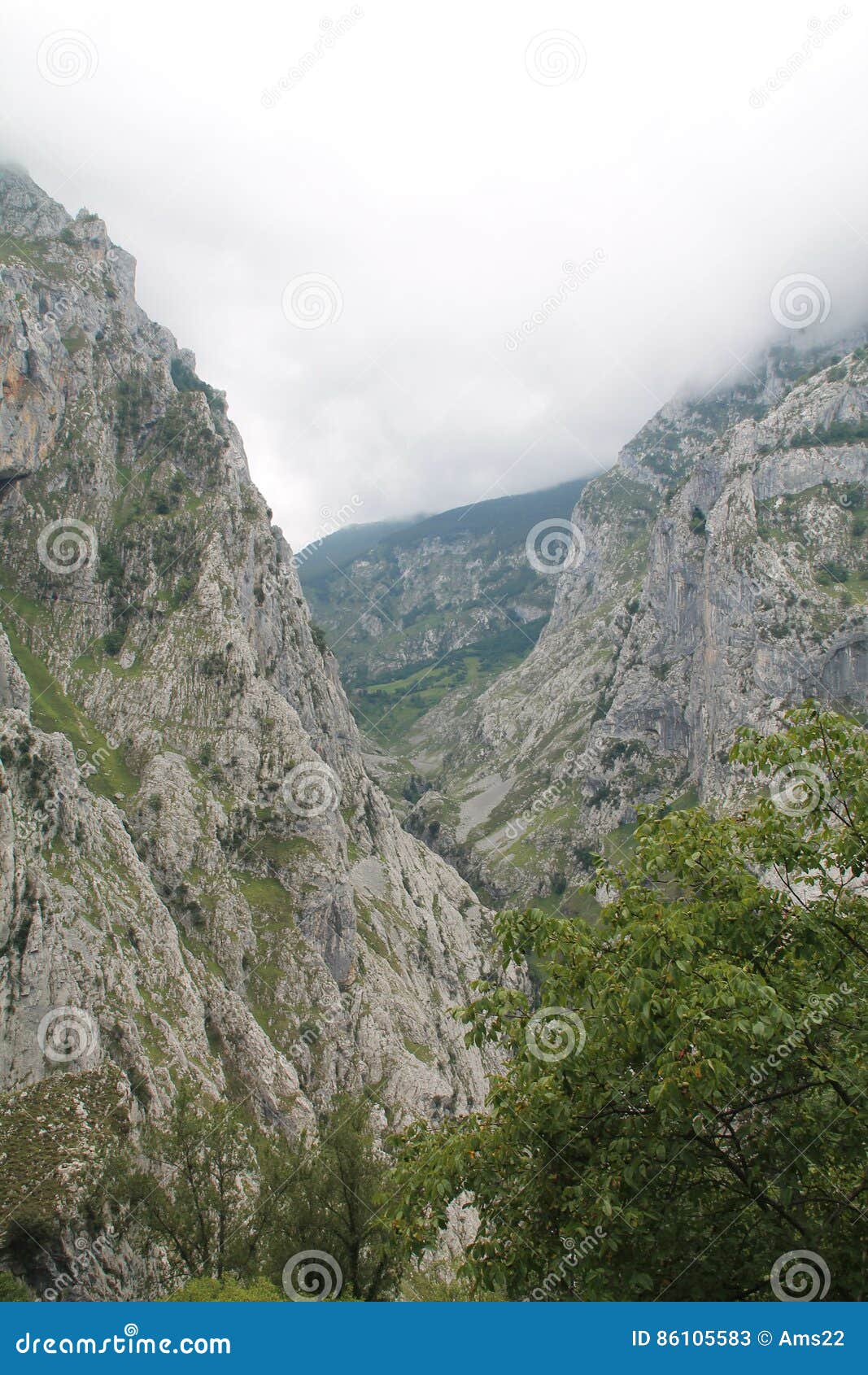 canal del texu, cabrales ( spain )