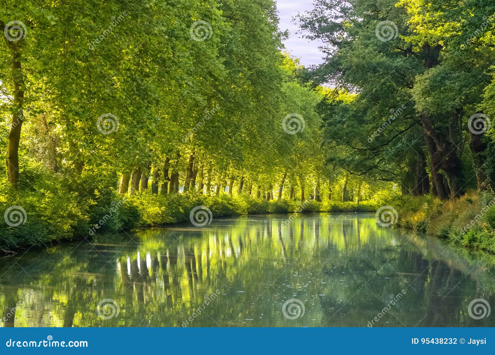 canal du midi, sycamore trees reflection in water, france