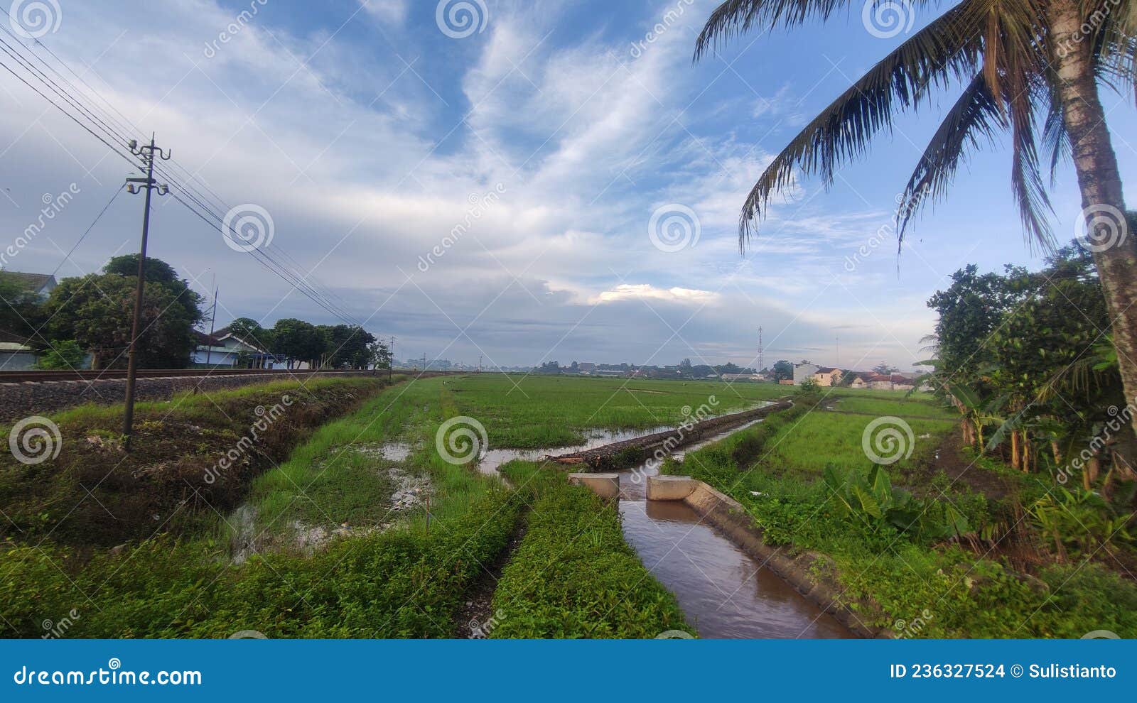 canal river that irrigates rice fields and fields