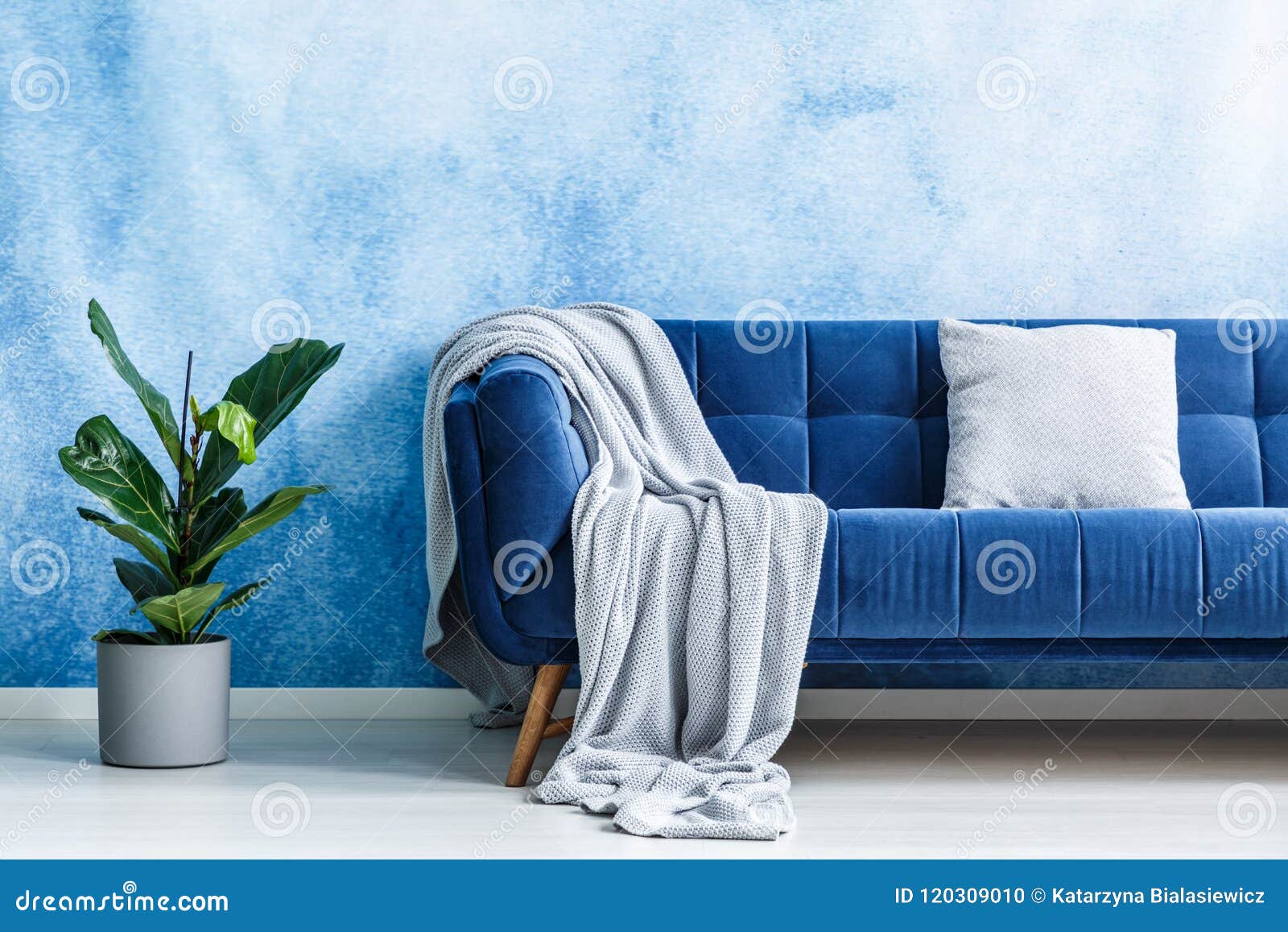 Canapé Grande De La Felpa De Los Azules Marinos Con El Amortiguador Gris Y  Manta Al Lado De Foto de archivo - Imagen de interior, apartamento:  120309010