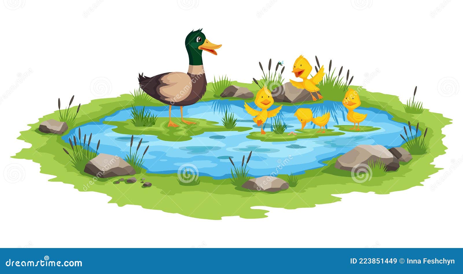 Les oiseaux du 27: Canards mignons