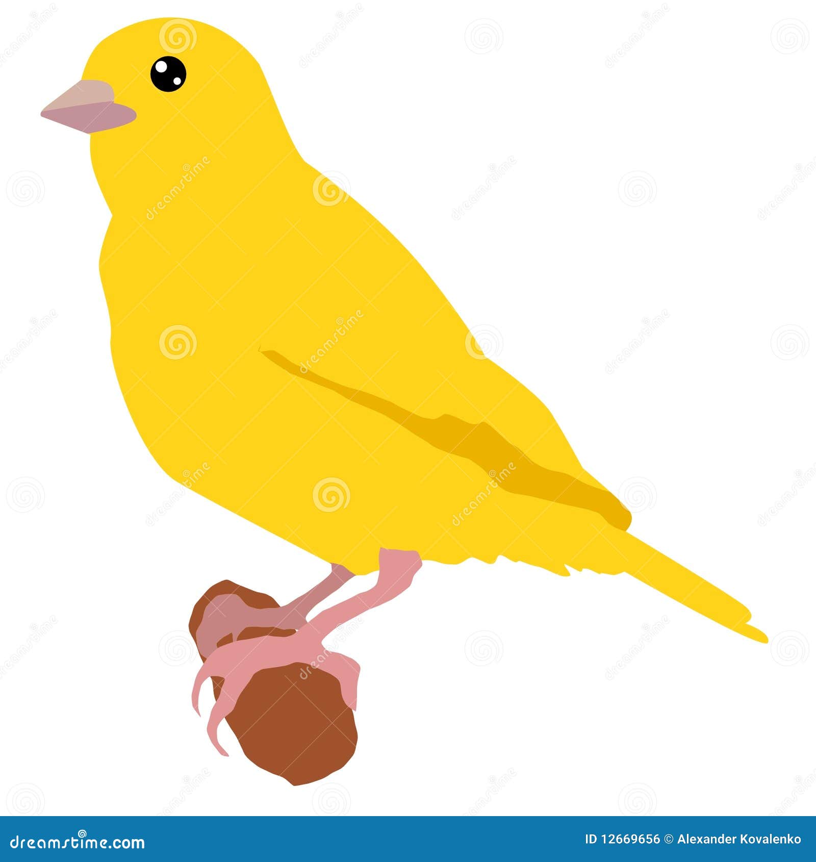 canary