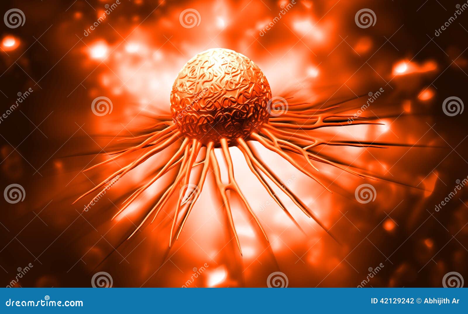 1000 Cancer Cells Pictures  Download Free Images on Unsplash