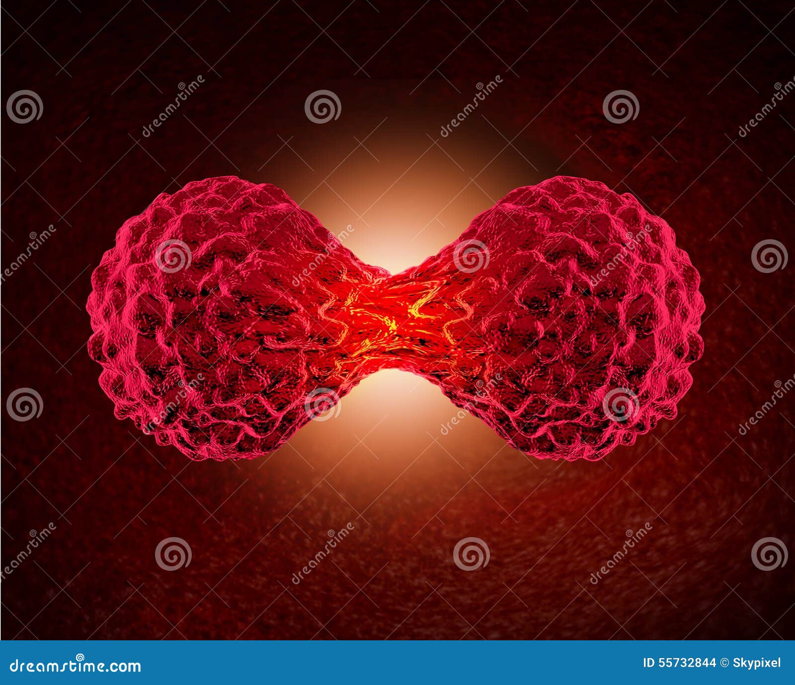 cancer cell dividing