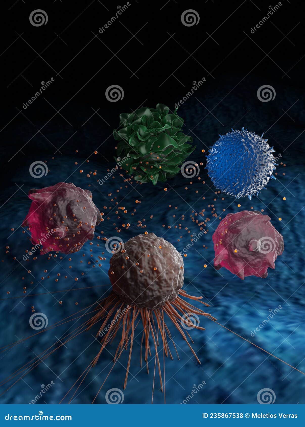 a cancer cell secreting exosomes that regulate various immune cells activity