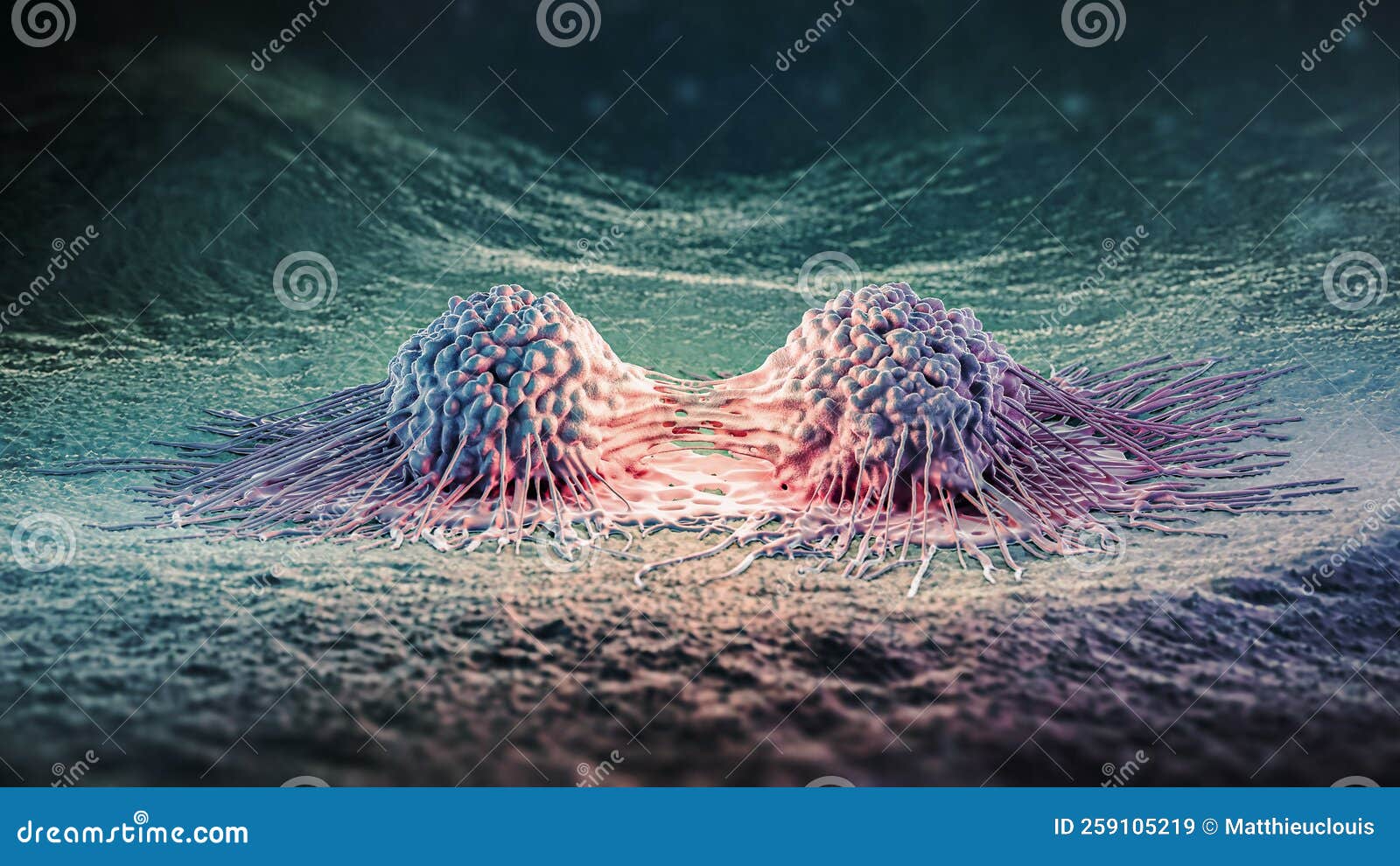 Cancer Cells Mitosis Or Proliferation 3D Rendering Illustration ... Biology Diagrams