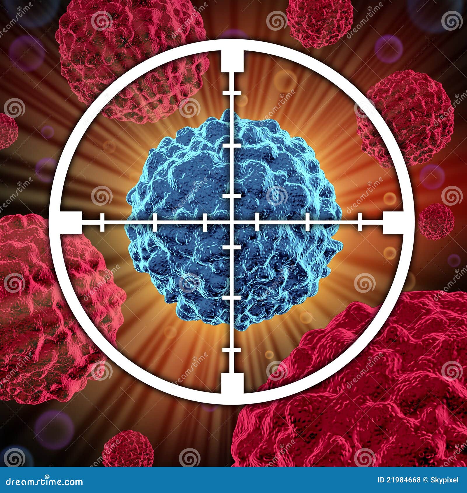 calreticulin molecular biology