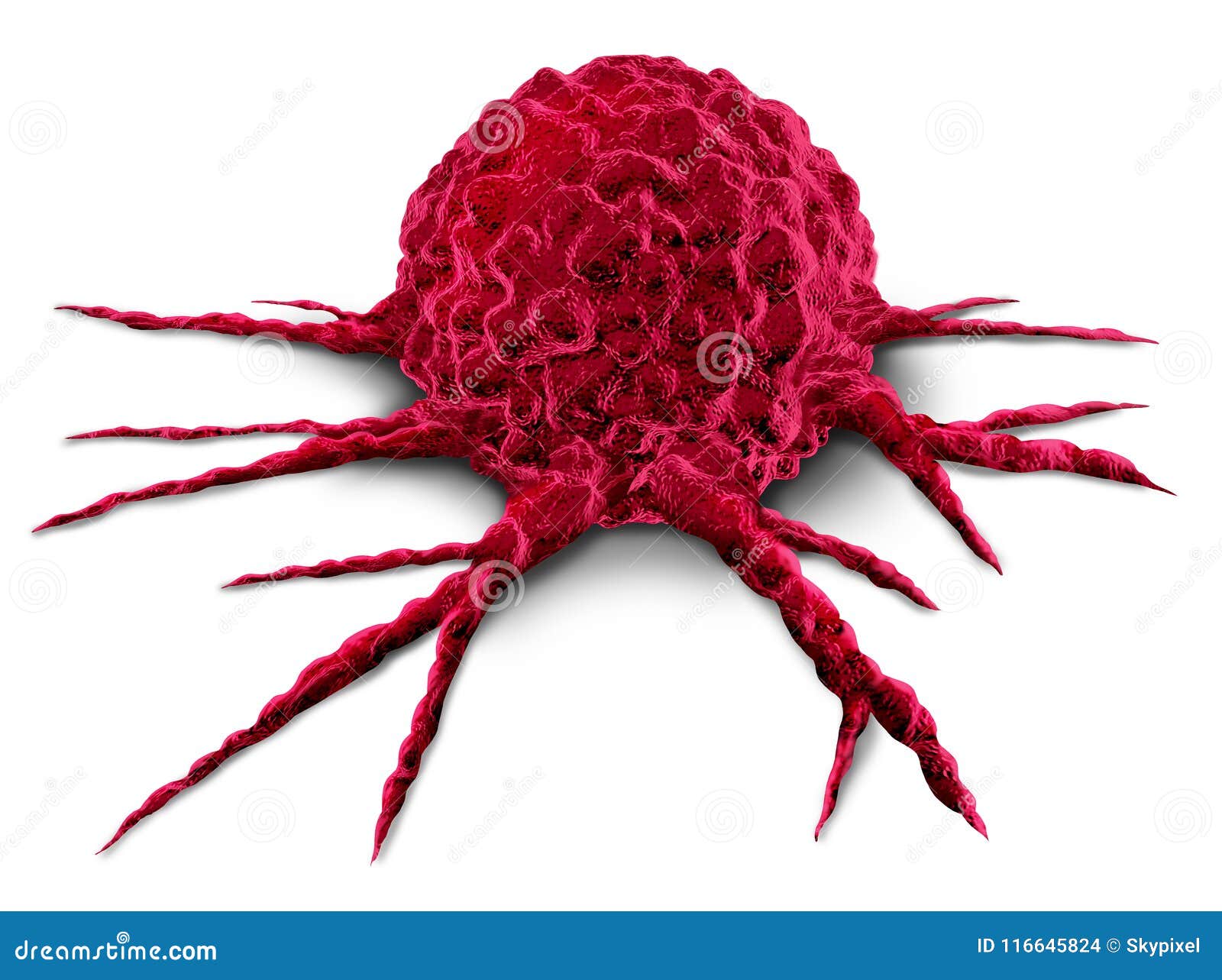 cancer tumor cell
