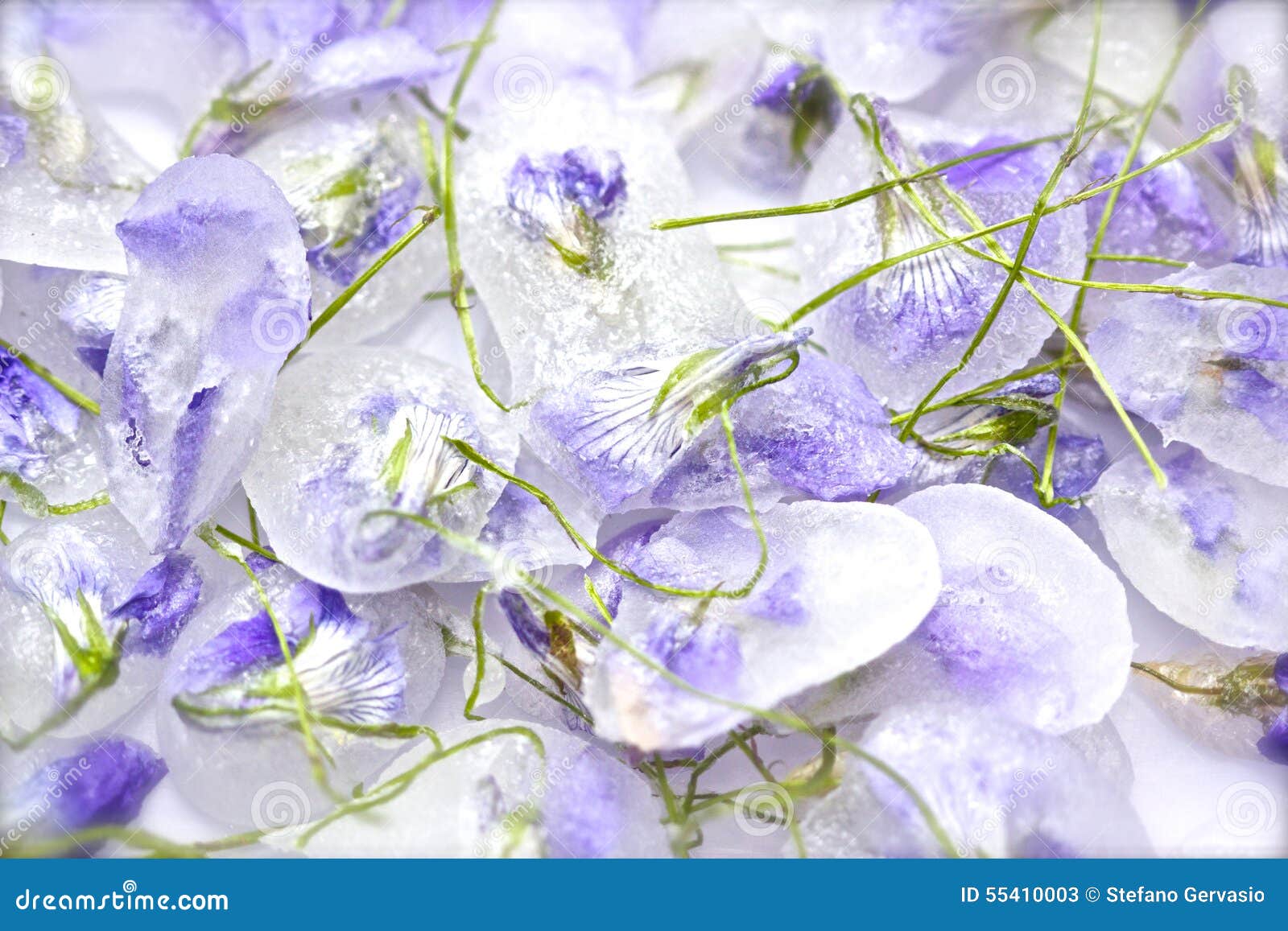 Candied violet flowers stock image. Image of caramel 55410003
