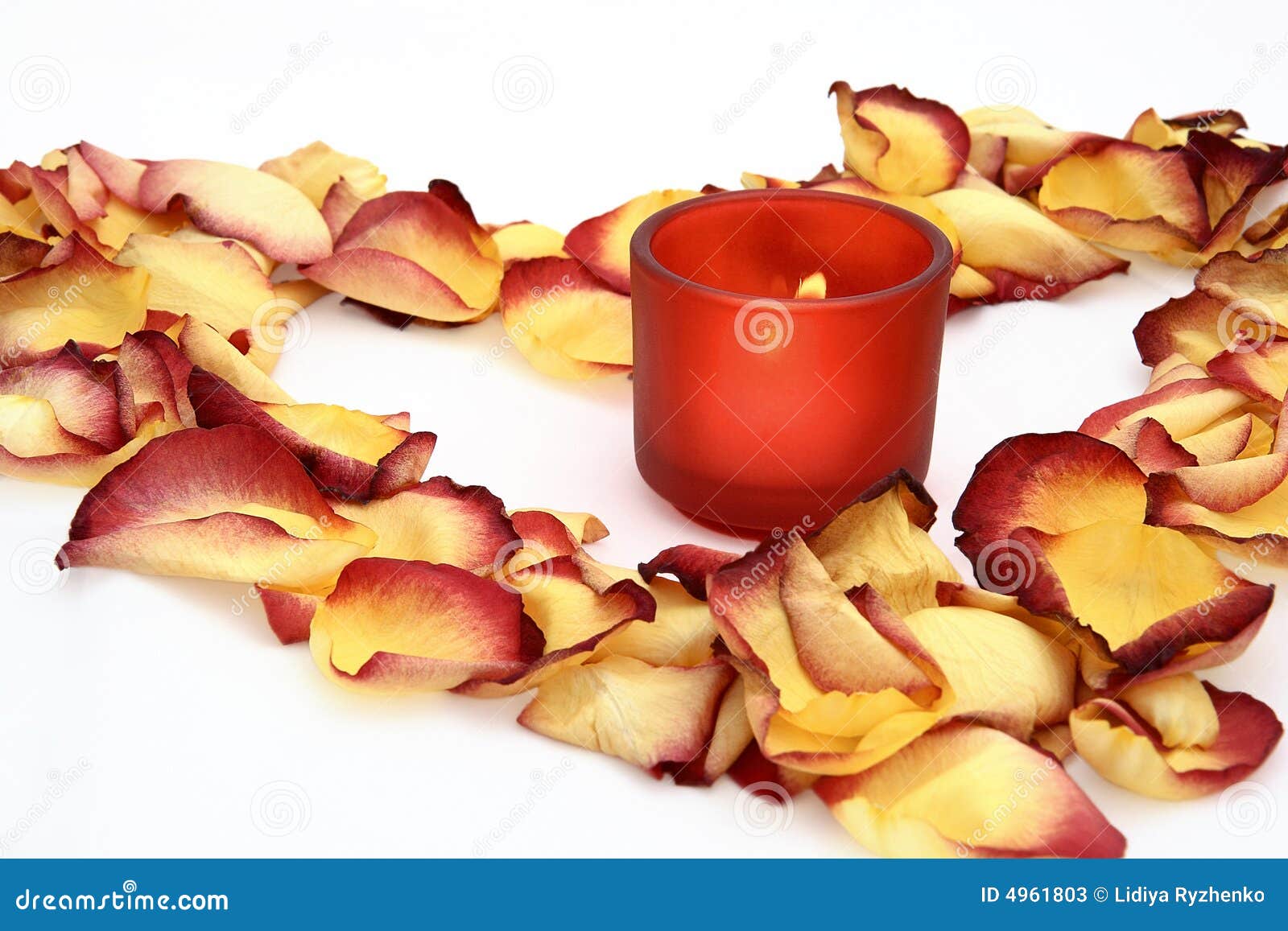 Candle and flower petals stock image. Image of arrangement 4961803