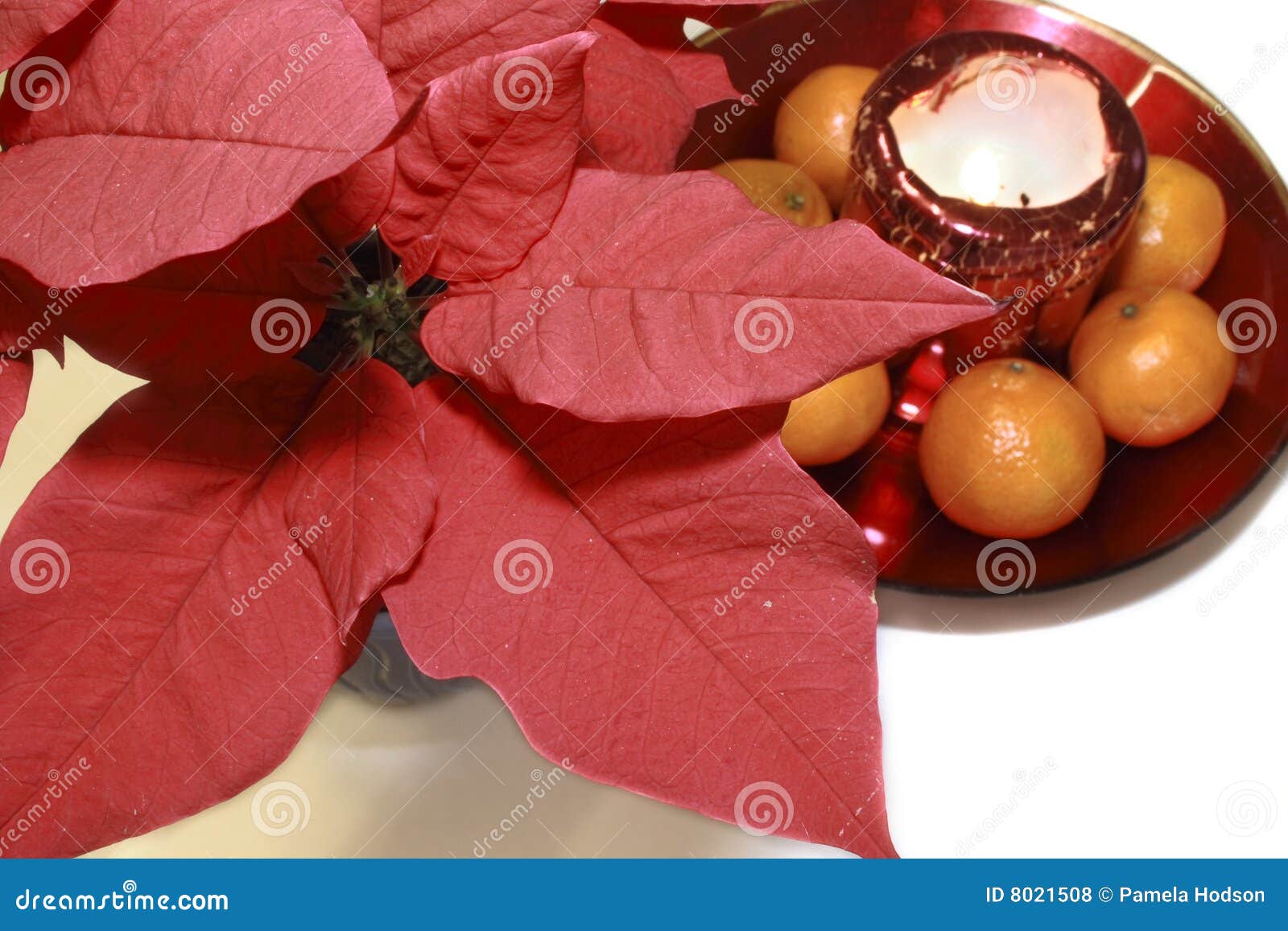Candle and fruit stock photo. Image of arrangement, gift 8021508