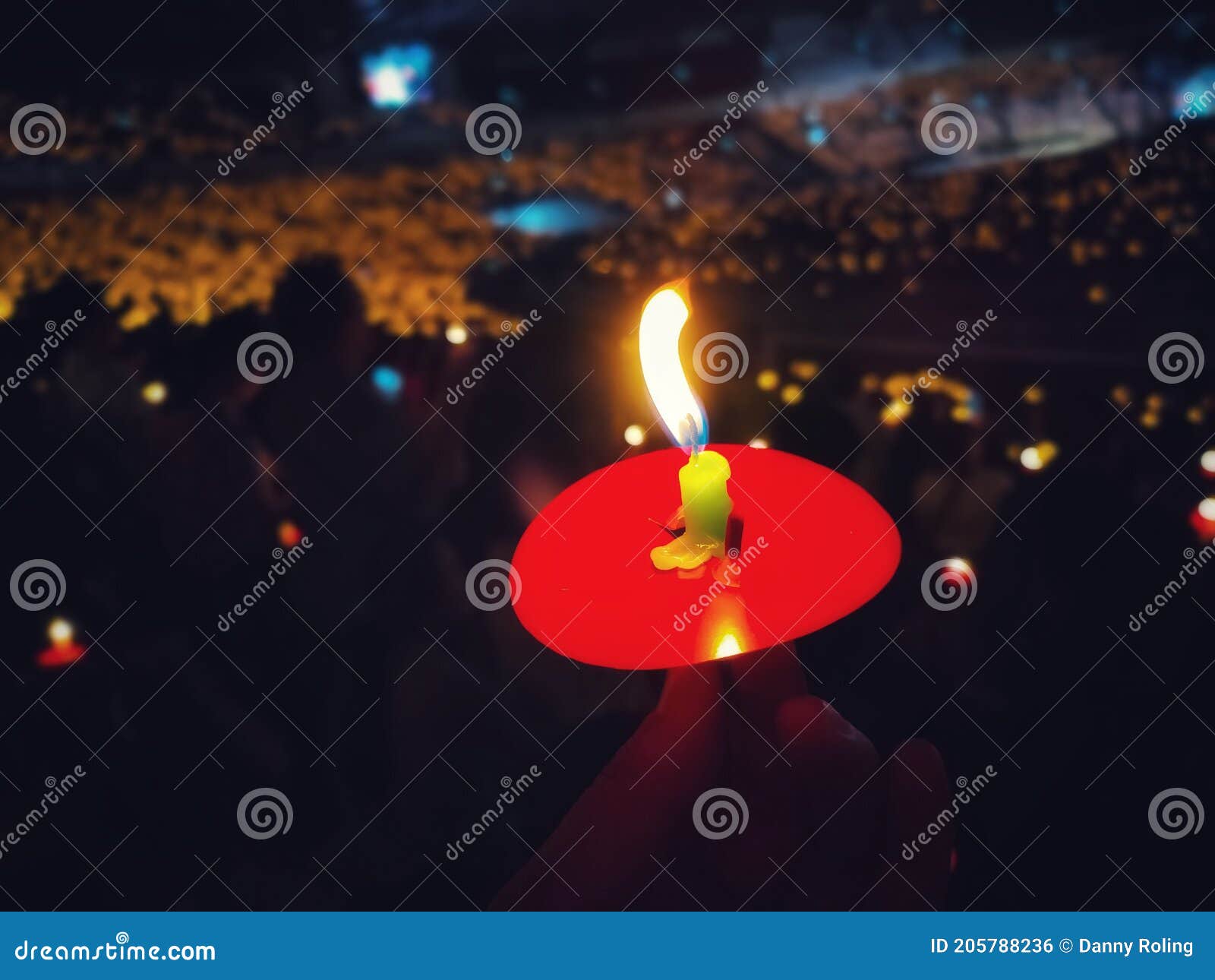 Candle Light in the Christmas Eve. Stock Photo Image of light, flower