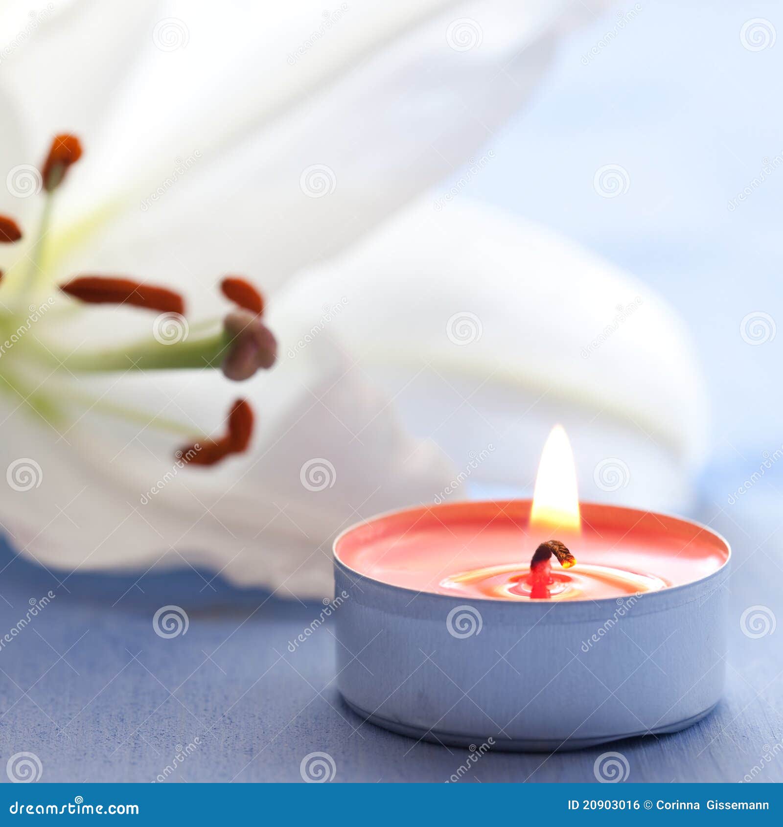 Candle and lily stock photo. Image of decoration, blossom 20903016
