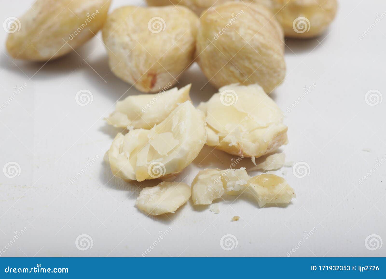 candlenut also known as kemiri at indonesia