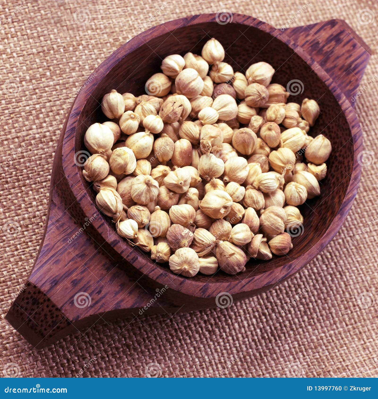 Candlenuts stock foto. Image of kruid, organisch, indisch 13997760