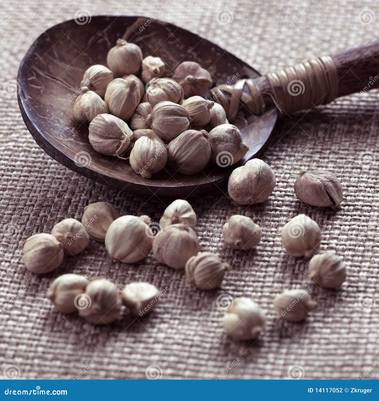 Candlenuts stock photo. Image of ingredient, cuisine 14117052