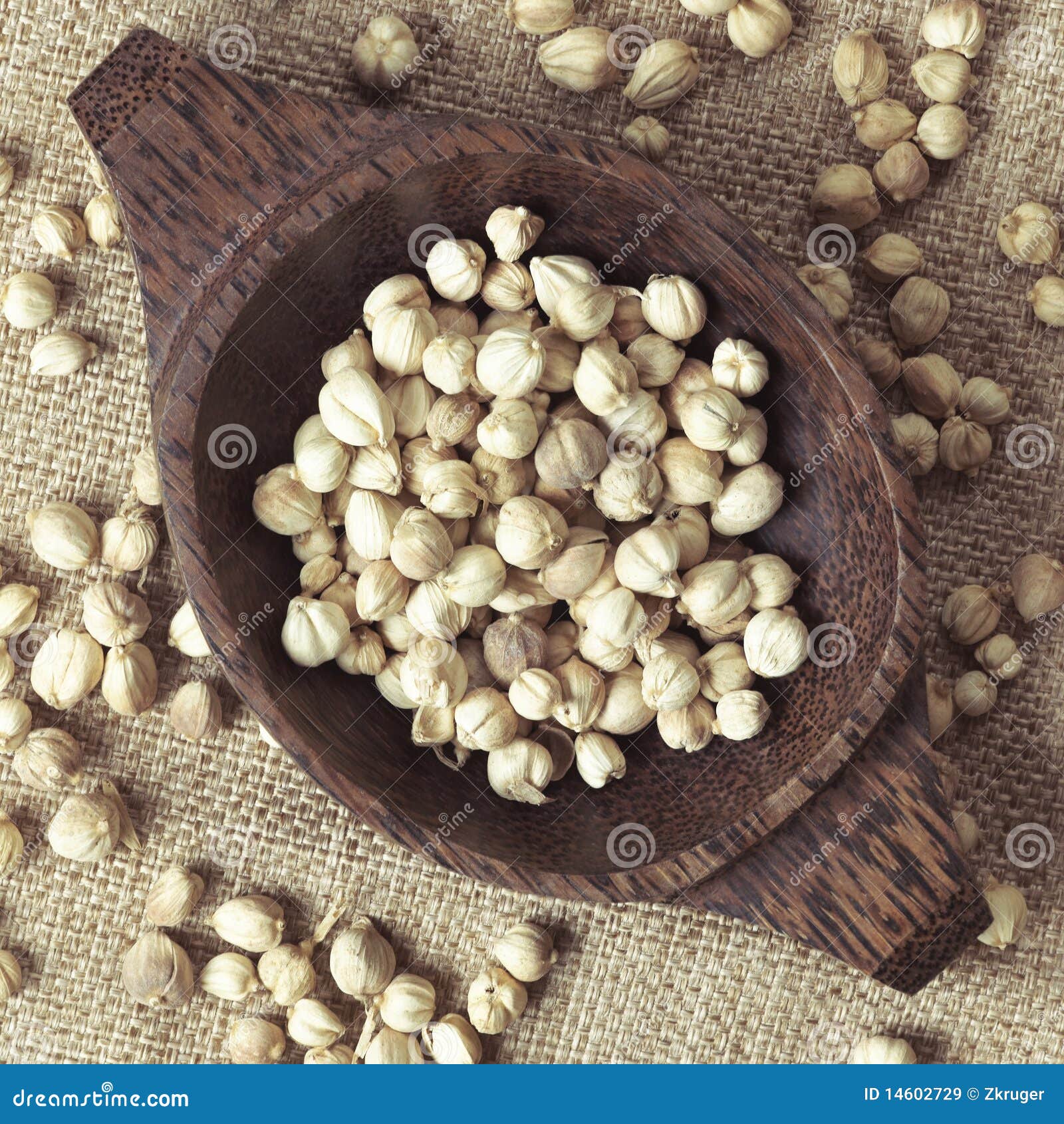 Candlenuts stock image. Image of condiments, cuisine 14602729