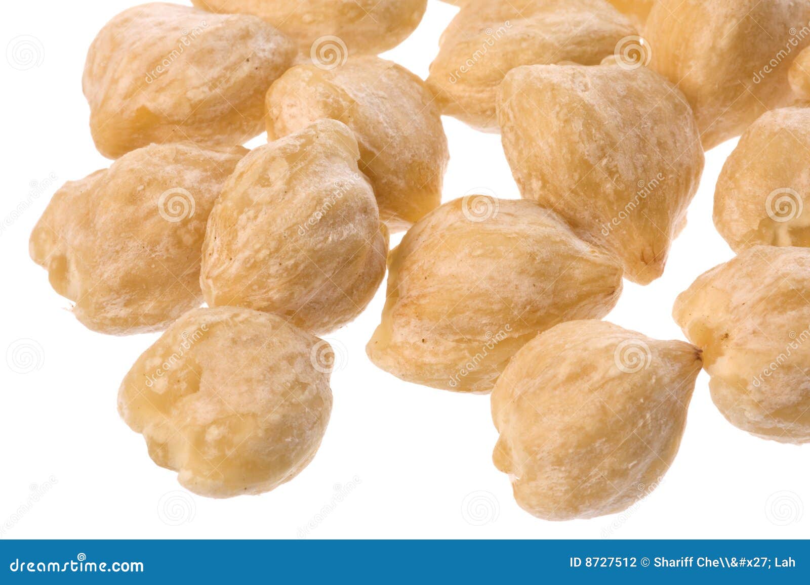 Candlenuts Isolated stock photo. Image of berry, indonesia 8727512