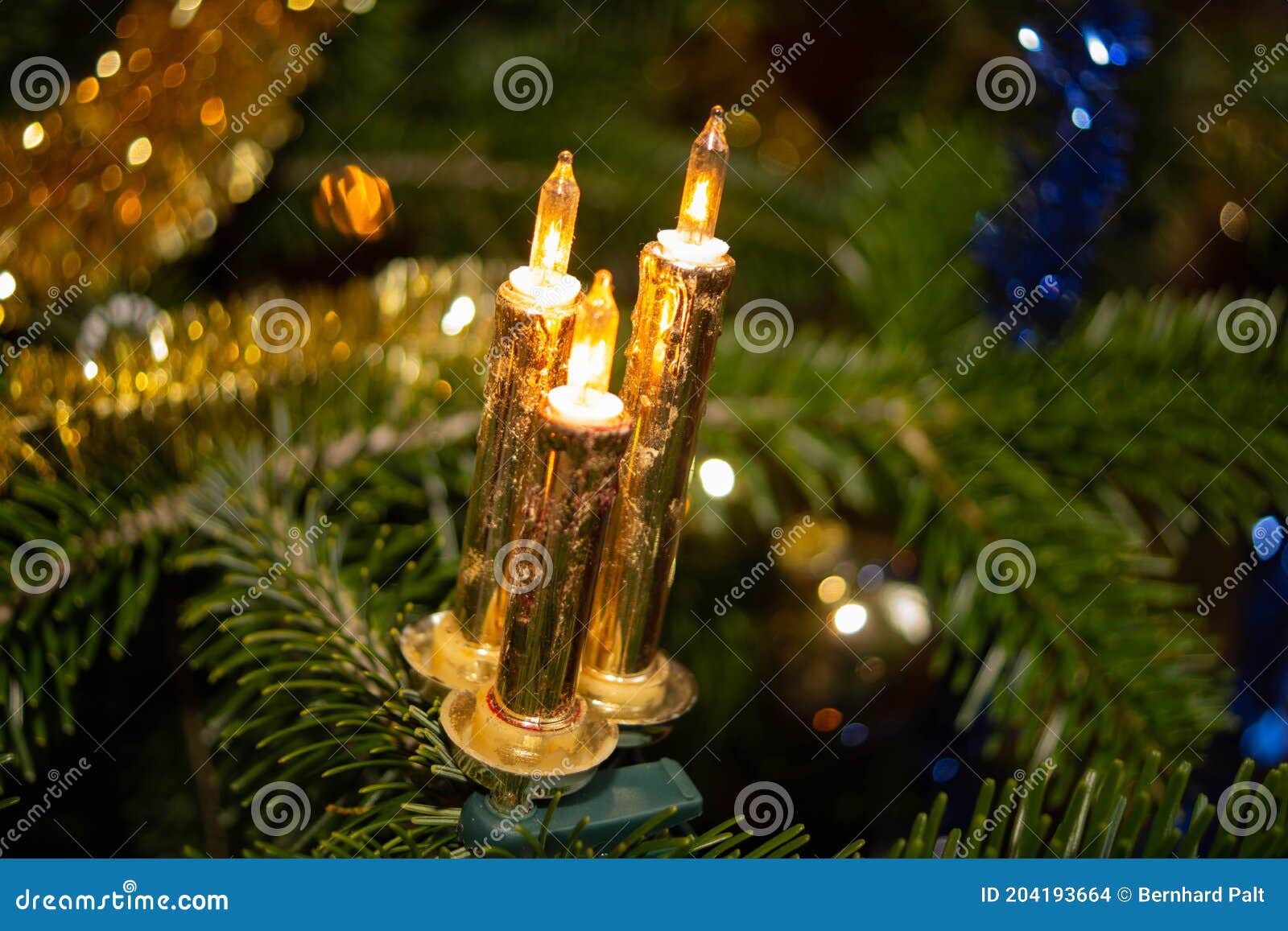 Candles on the Christmas Tree Stock Photo Image of decorations, tree