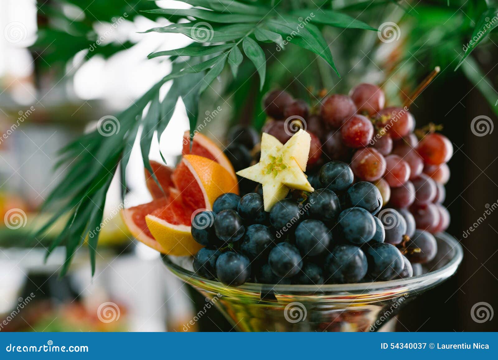 Candy bar with fruit stock image. Image of kiwi, event 54340037