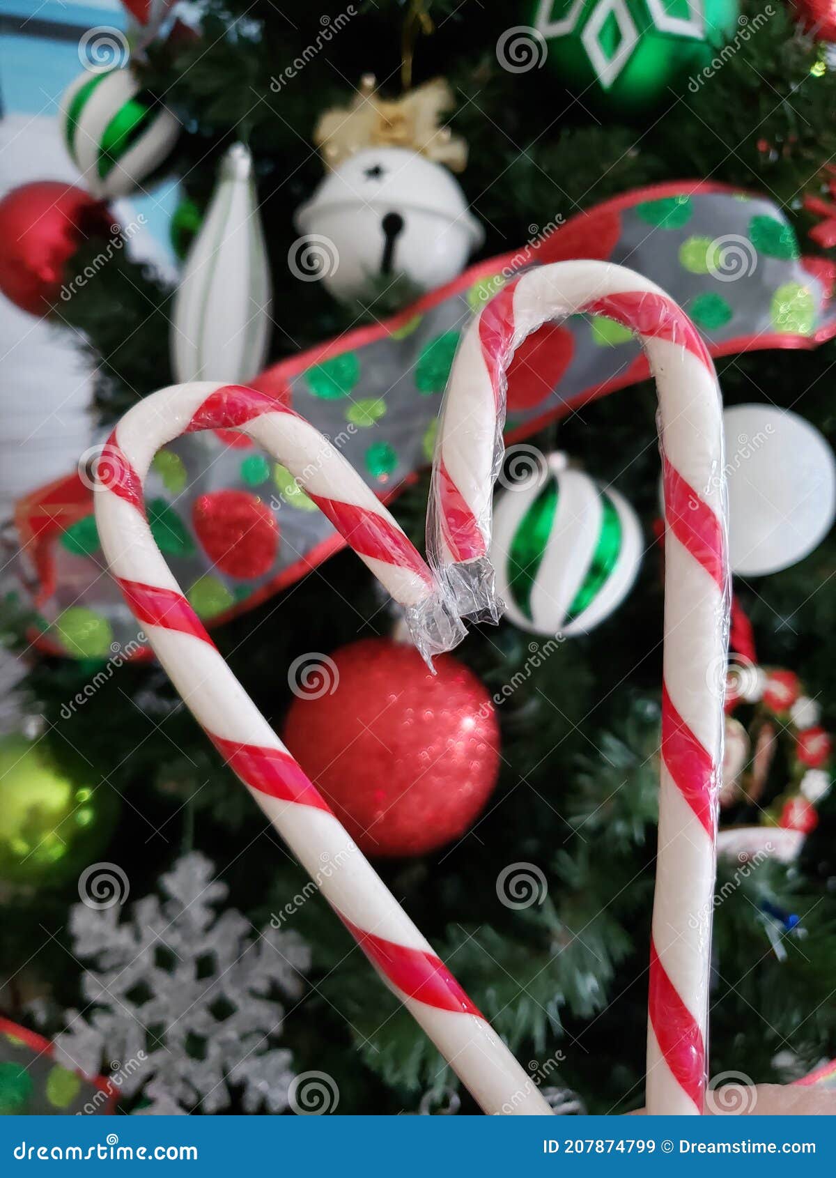 Candy Canes Making a Heart on the Christmas Tree Stock Image Image of