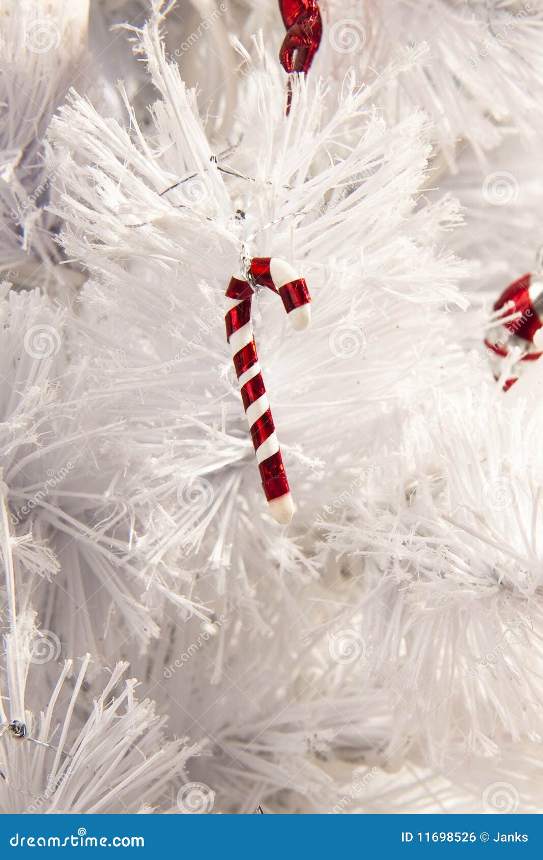 Candy cane tree stock photo. Image of background, white - 11698526