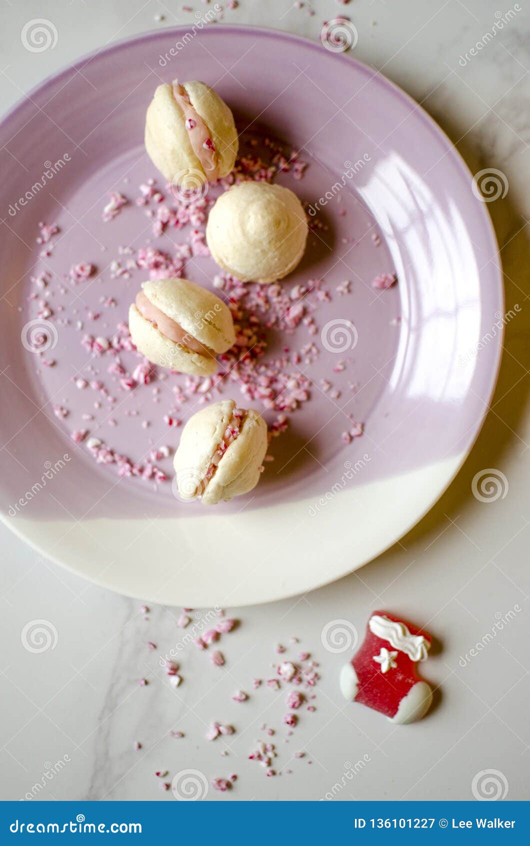 Candy Cane and White Chocolate Macarons Stock Image Image of cane