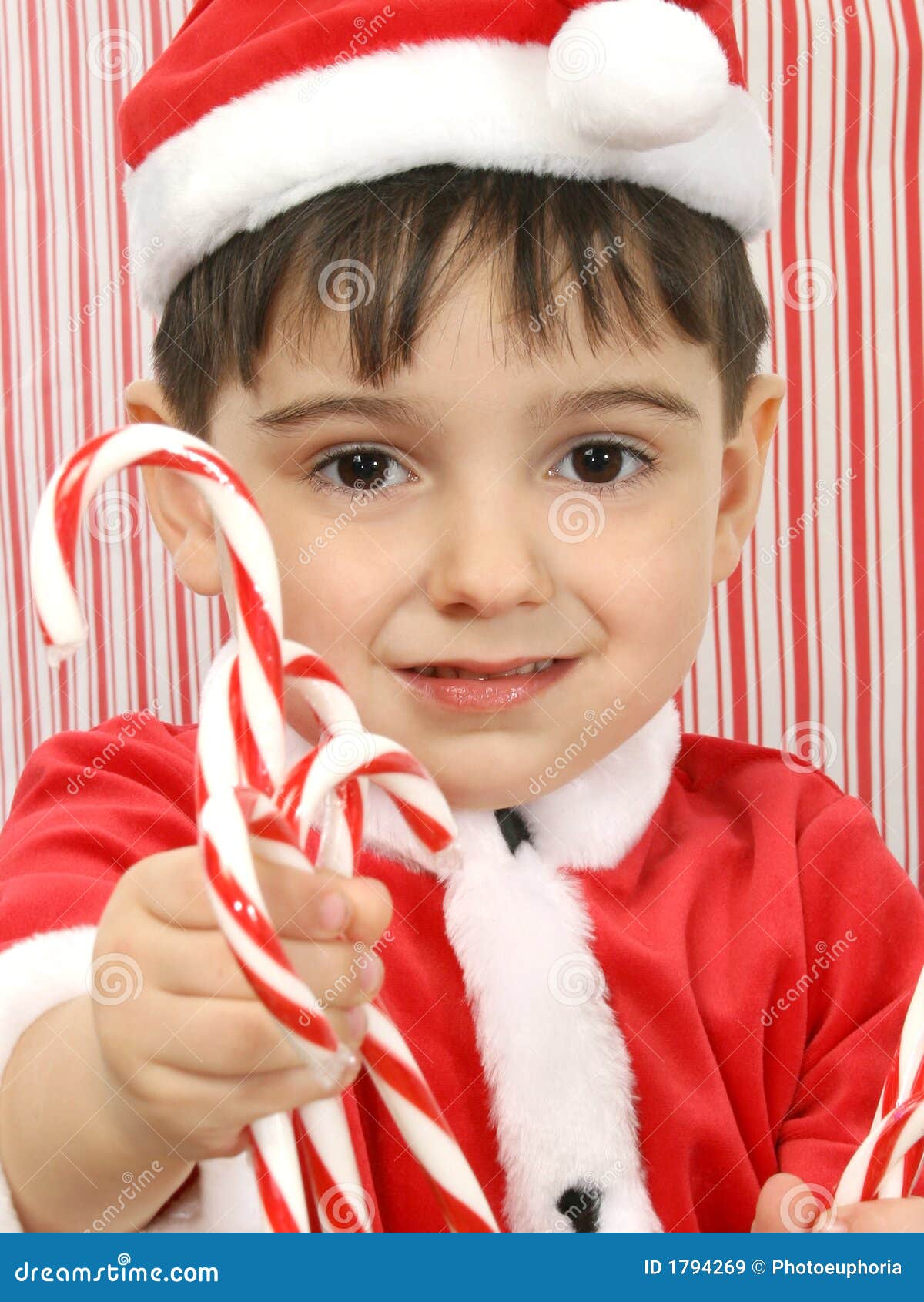 Candy Canes Picture. Image 1794269