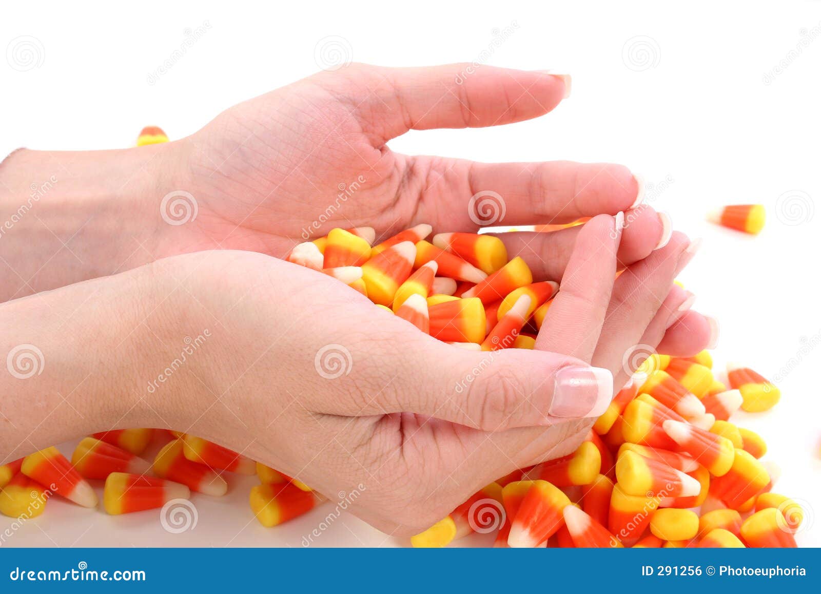 Candy Corn stock photo. Image of halloween, children, thanksgiving 291256