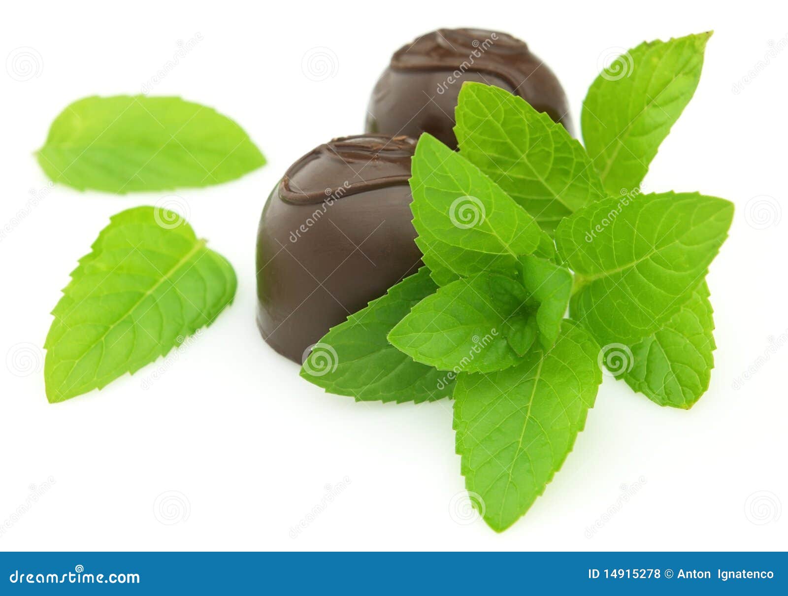Candy with fresh mint stock photo. Image of peppermint 14915278