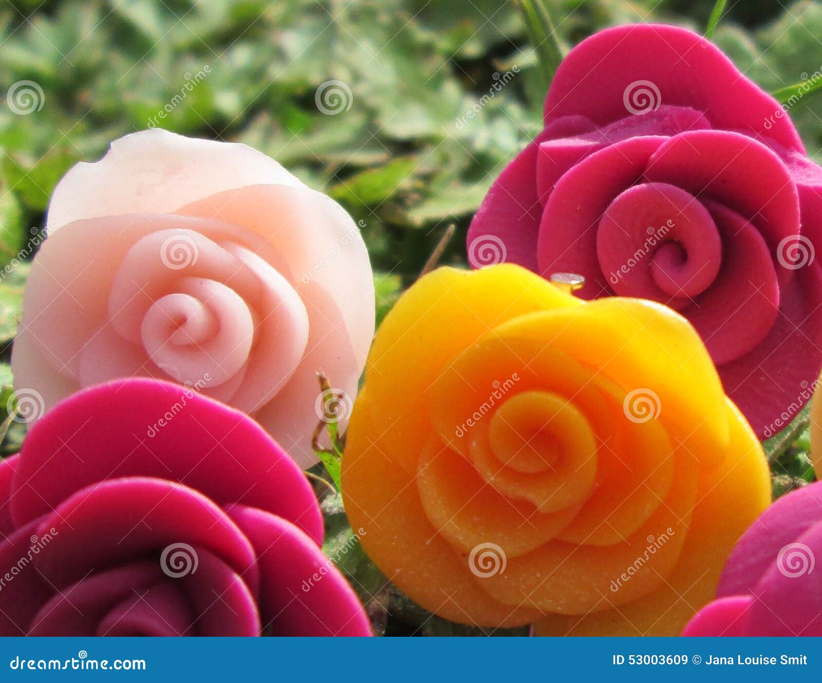 Candy Spring Flowers. stock image. Image of anniversary 53003609