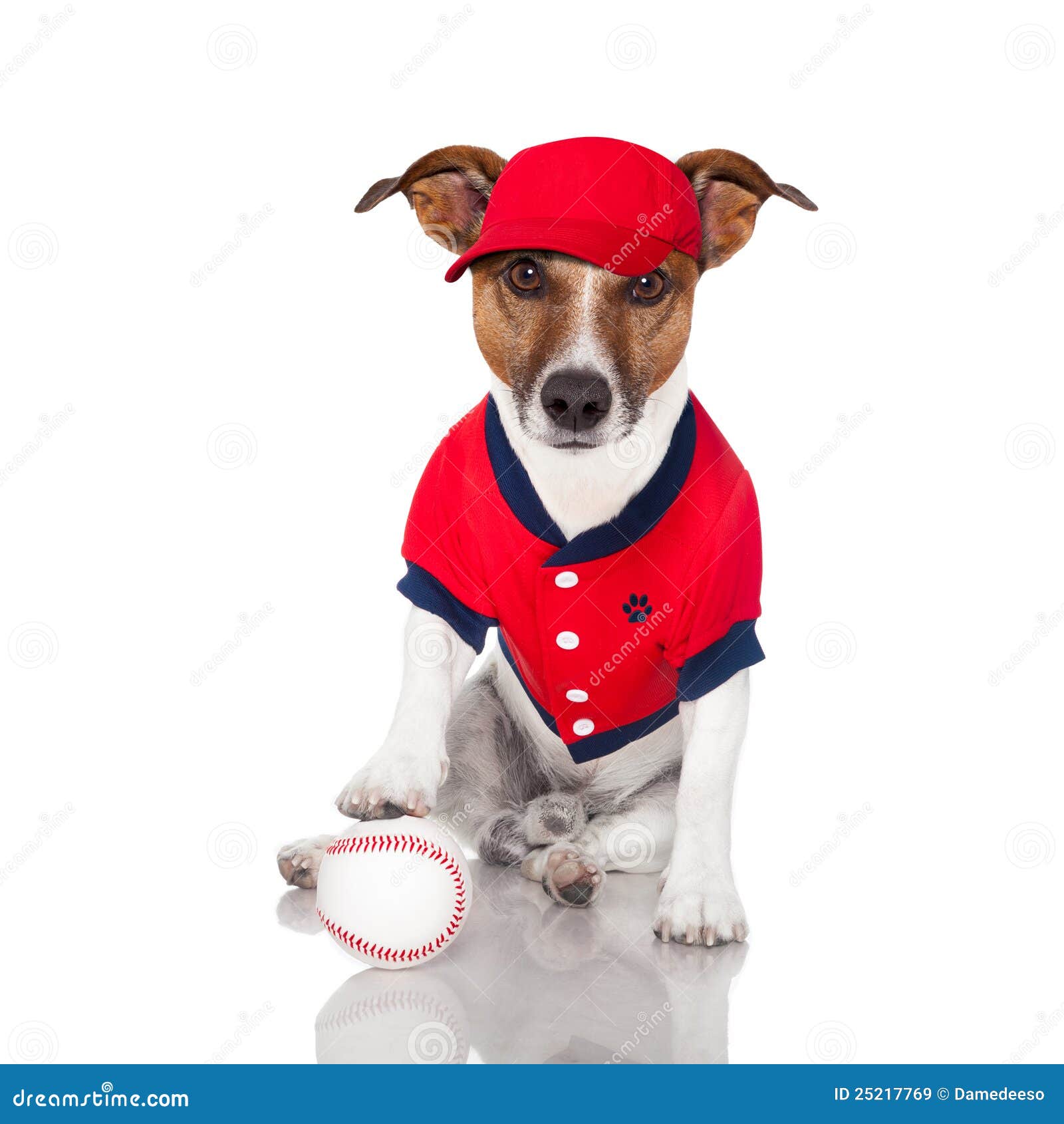 Cane di baseball immagine stock. Immagine di gioco, animale - 25217769