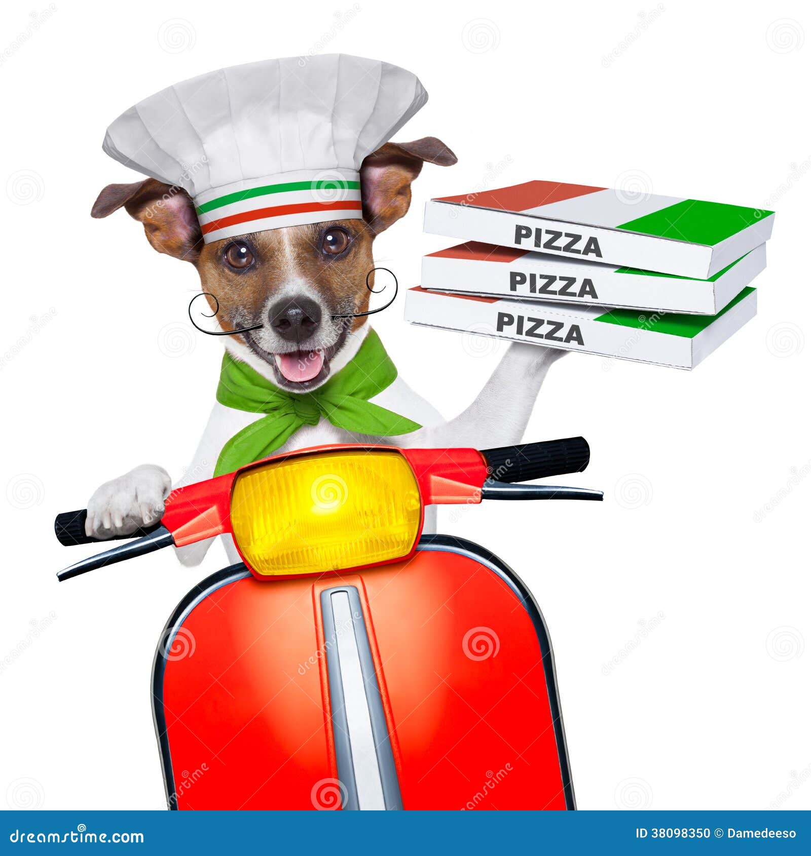 Cane Di Consegna Della Pizza Fotografia Stock Immagine di corriere
