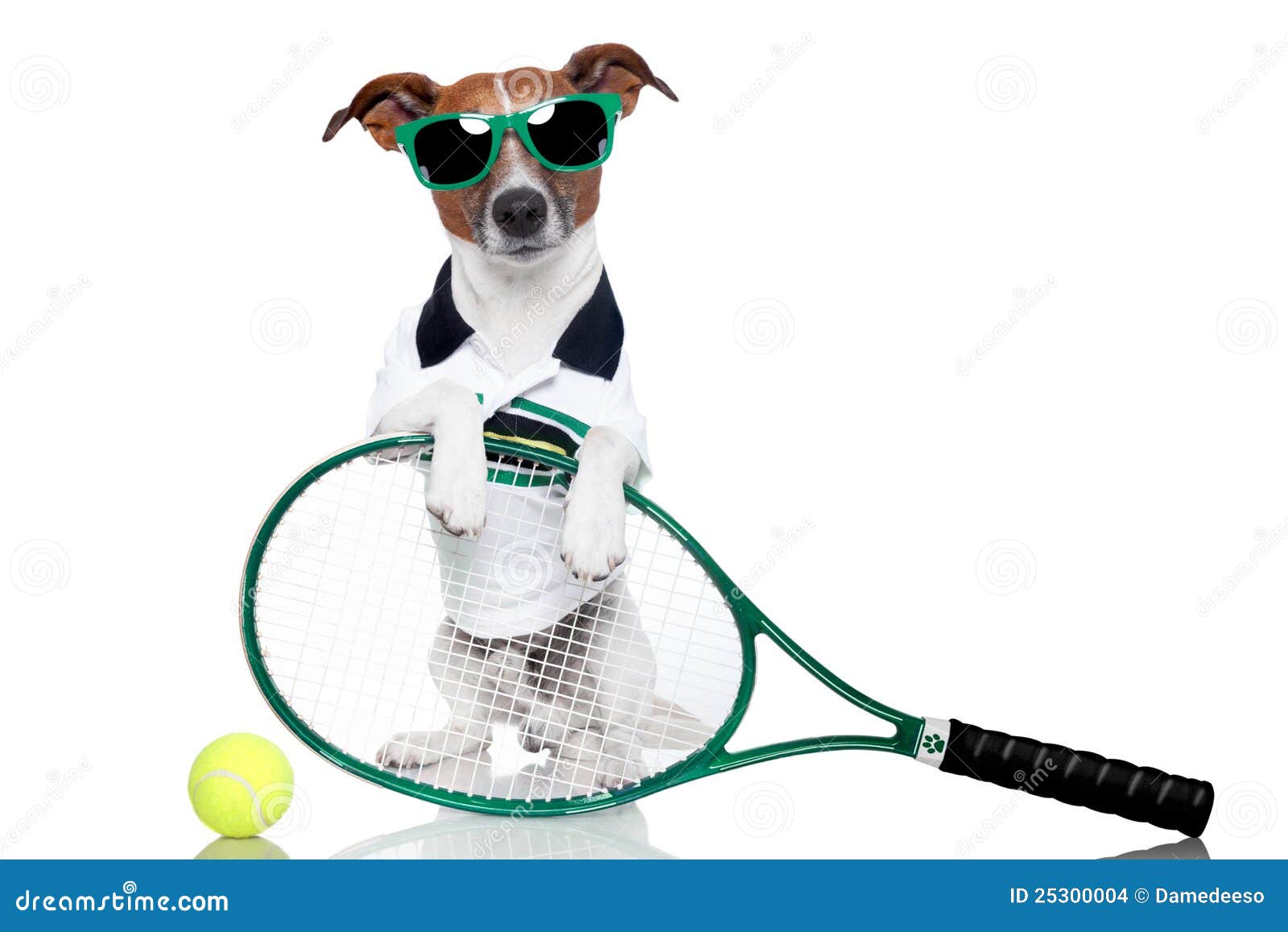 Cane di tennis fotografia stock. Immagine di presa, racchetta 25300004