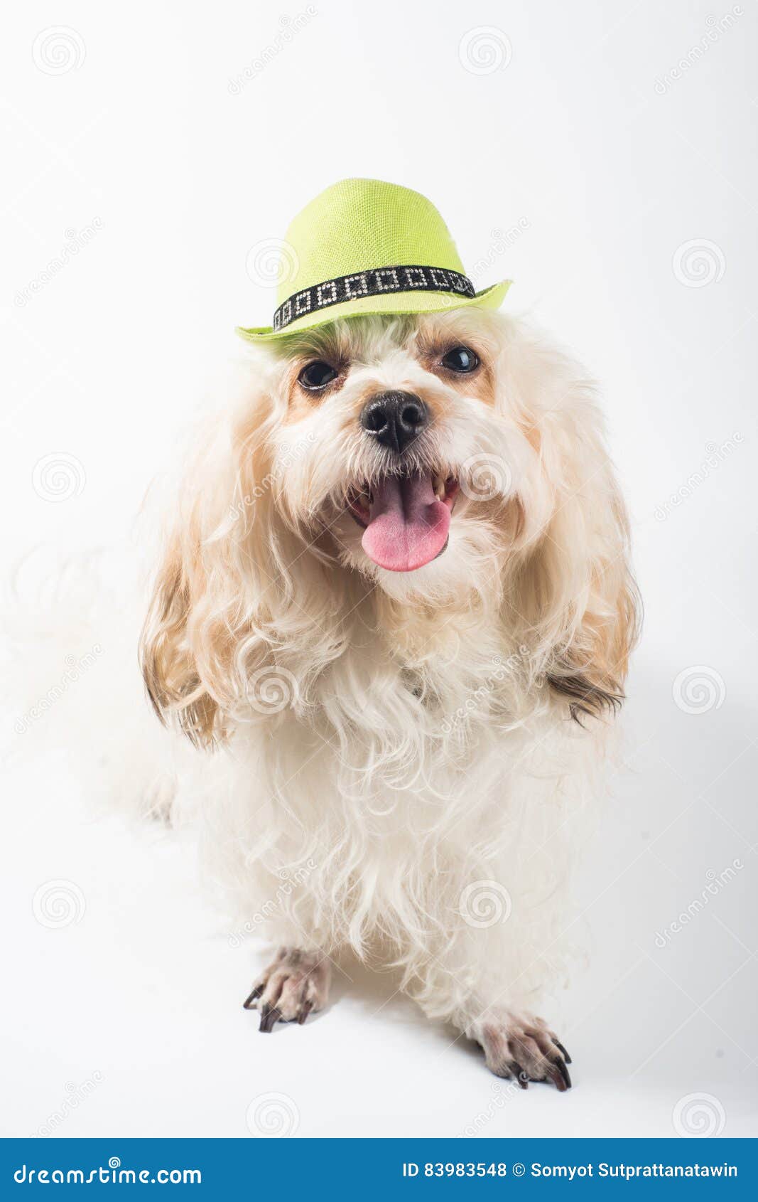 Cappello Per Cane Estivo Con Fori Orecchie - Regolabile 29-35cm, In Poliestere, Per Protezione Solare - Foto 3