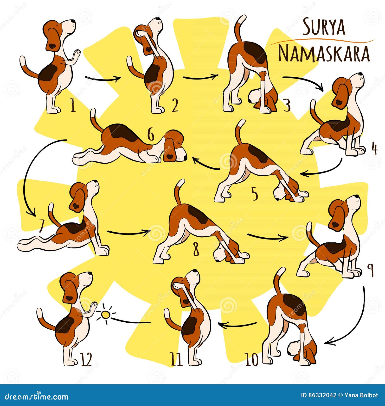 Cane Divertente Isolato Del Fumetto Che Fa Posizione Di Yoga Di Surya Namaskara Illustrazione Vettoriale Illustrazione Di Salute Corpo