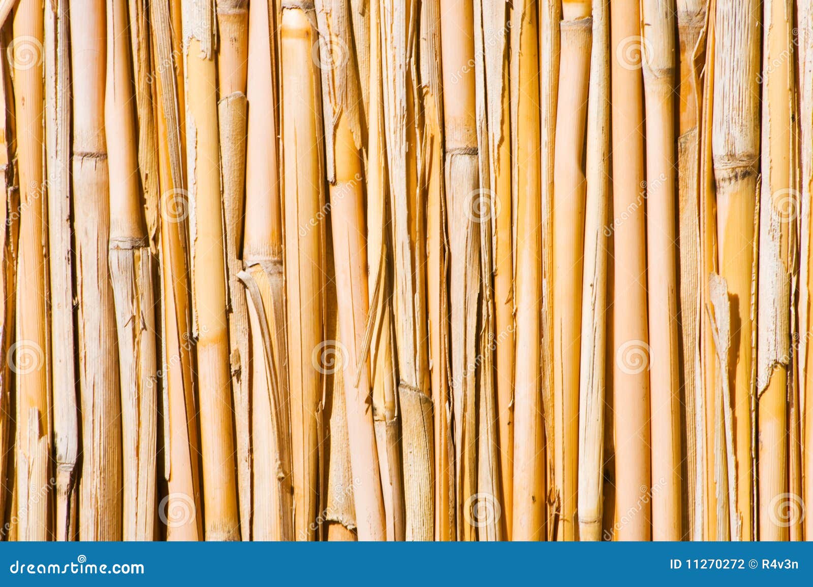 Cane Wall. Vertical Pipes in Natural Colors Stock Photo Image of