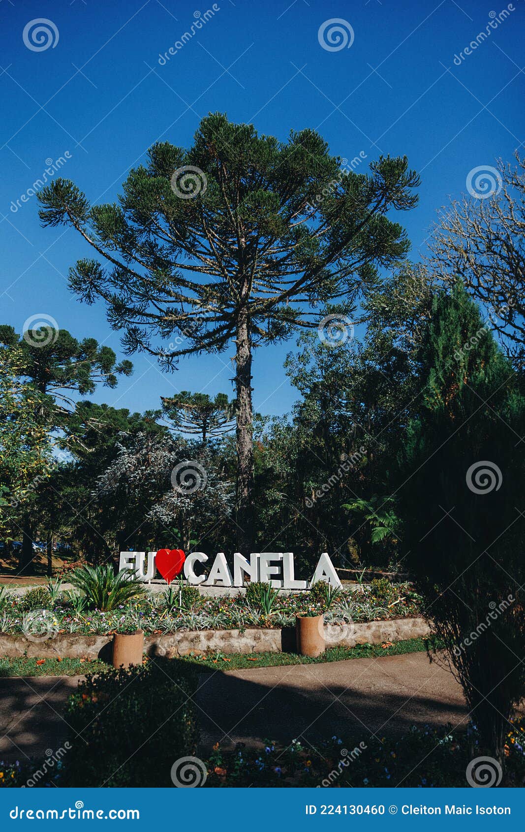 canela national park sign and tree