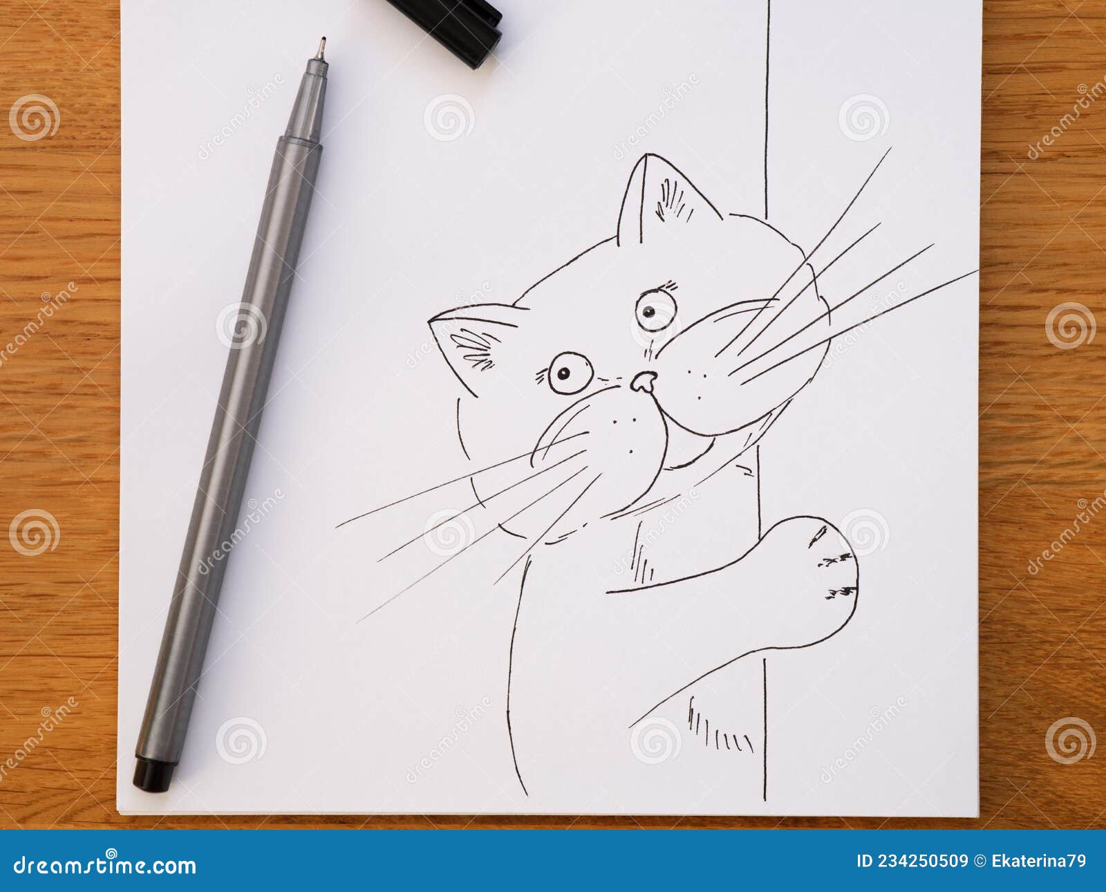 Desenhando um gato realista a caneta 