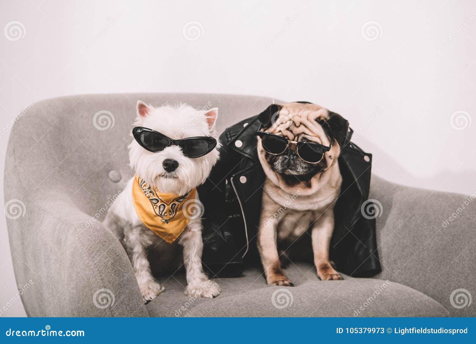 Occhiali Da Sole Per Cani Lewondr - Protezione UV, Anti-Appannamento, Cinturini Regolabili - Foto 9