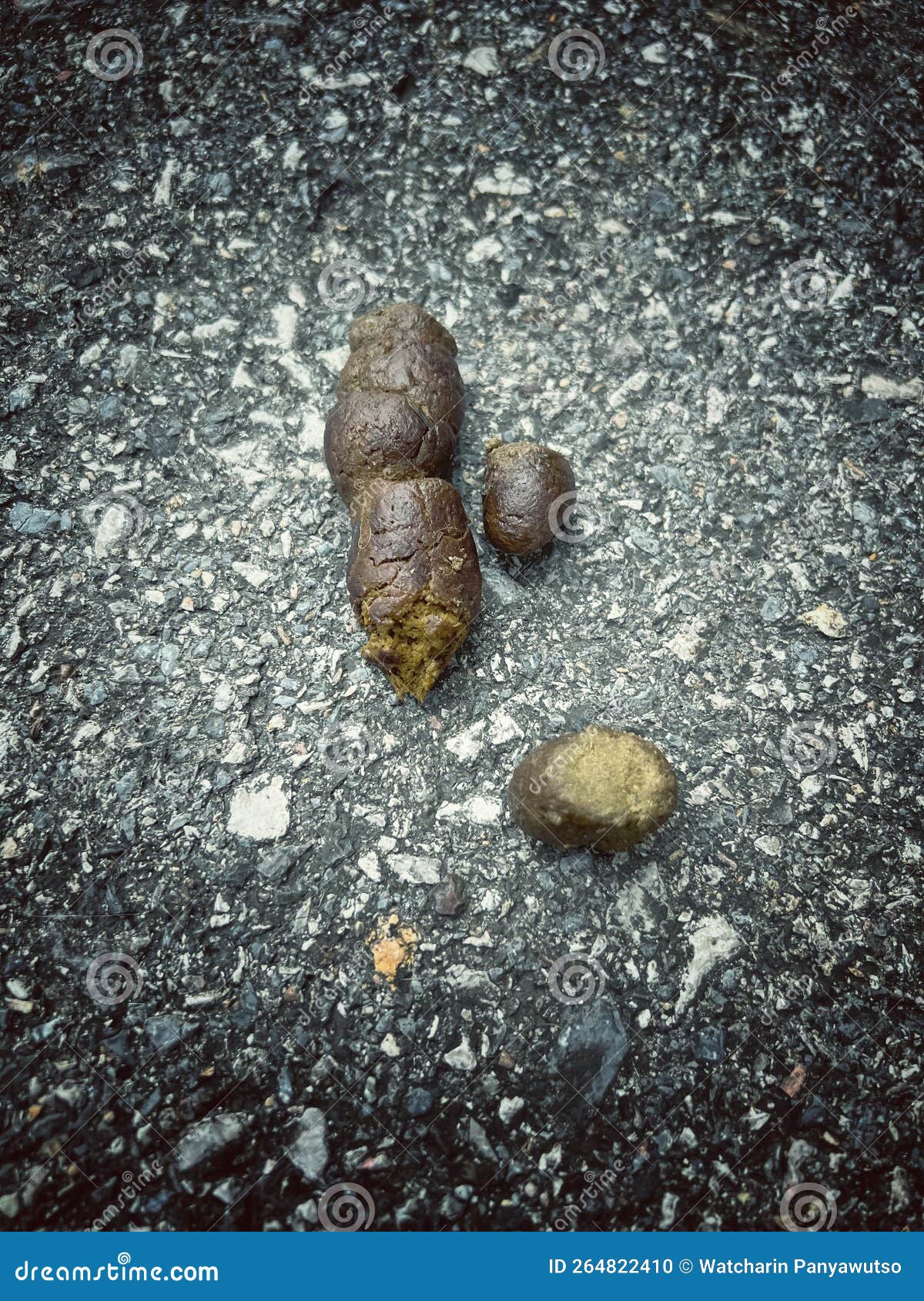 canine poops defecated on ground floor.show texture and  of unhealthy stools,intenstinal problem in dog