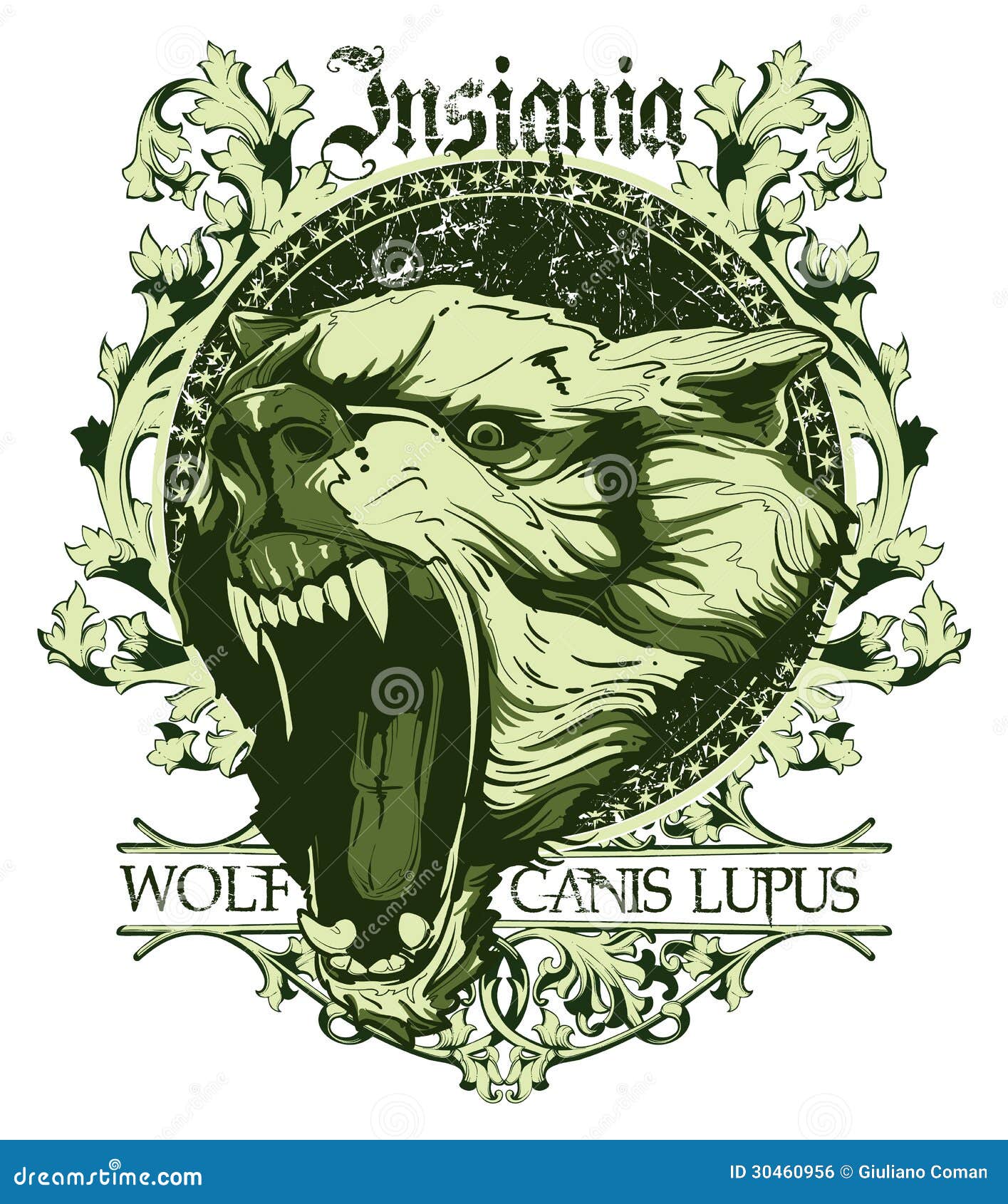 Lupus Cartoons, Illustrations & Vector Stock Images - 2471 Pictures to