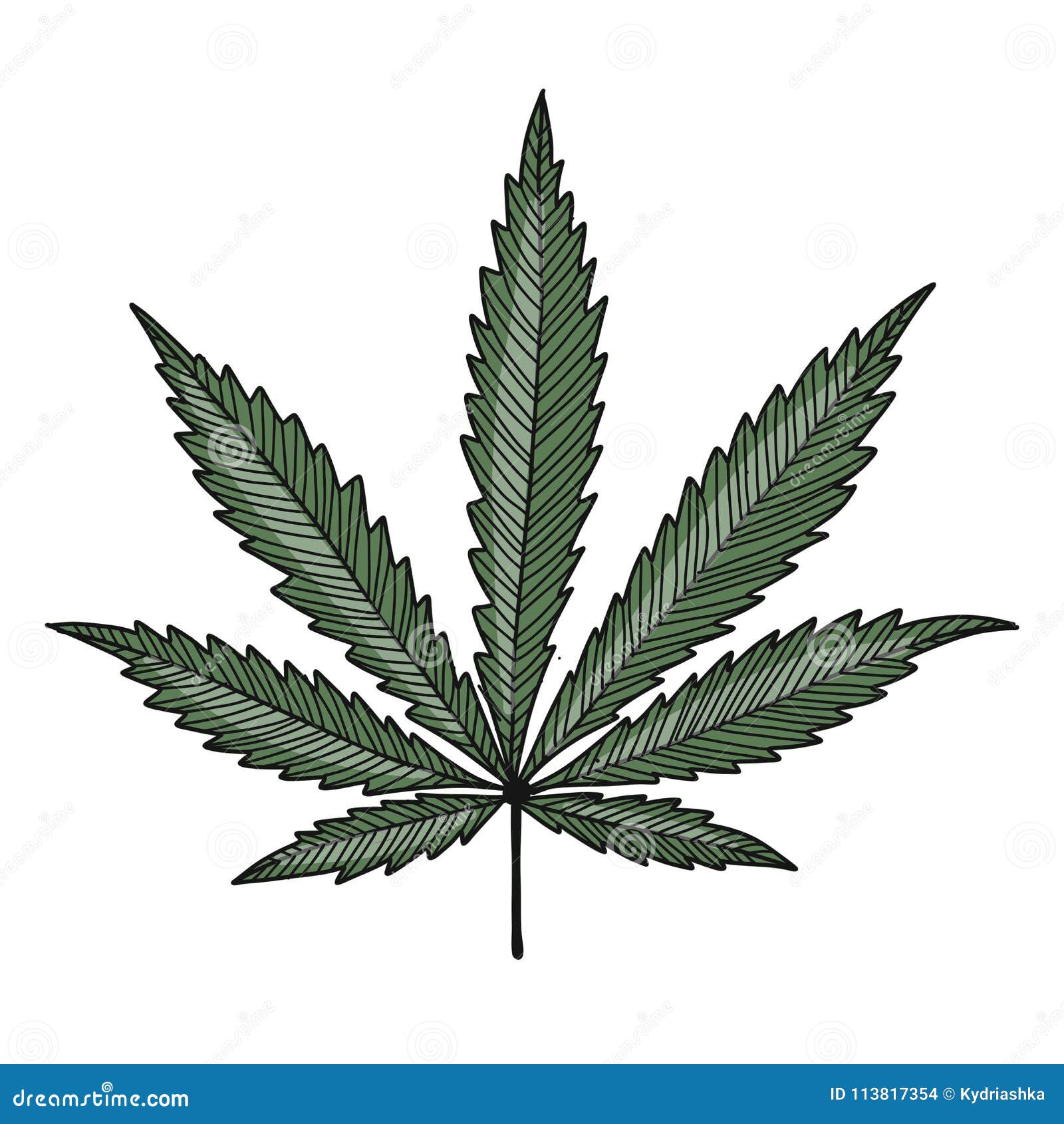Cannabis Leaf, Sketch For Your Design Stock Vector - Illustration of