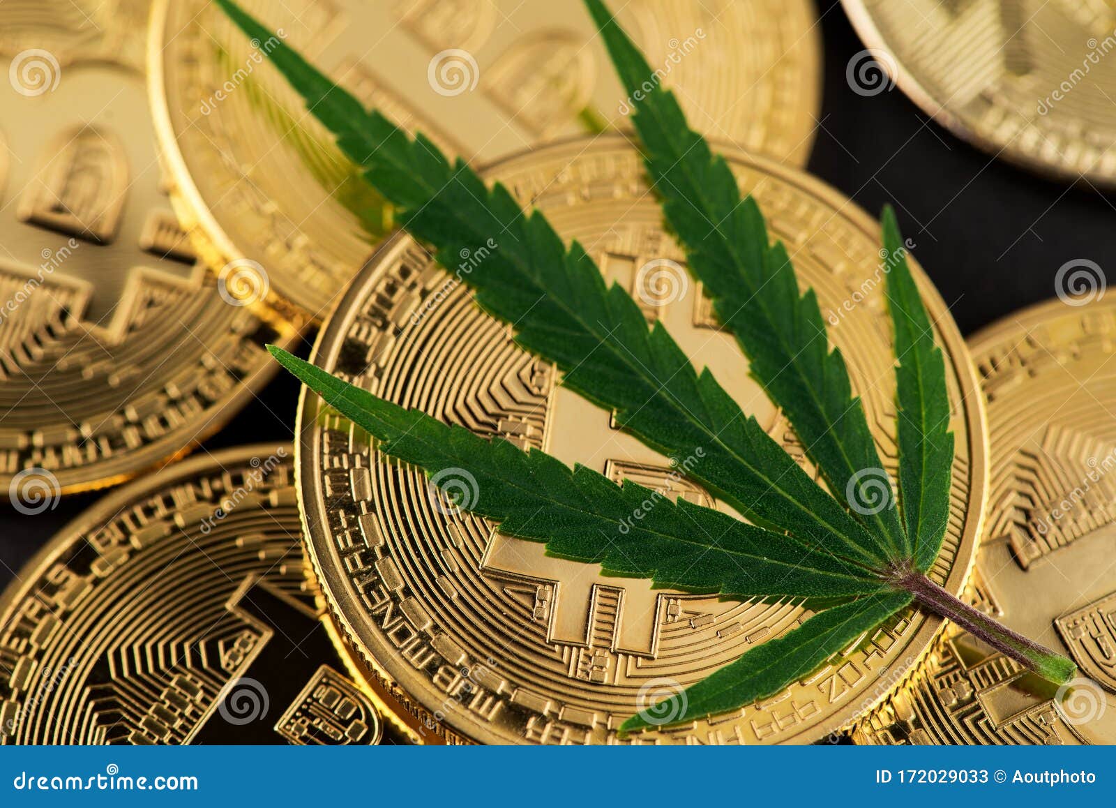 investing in bitcoin currency and cannabis