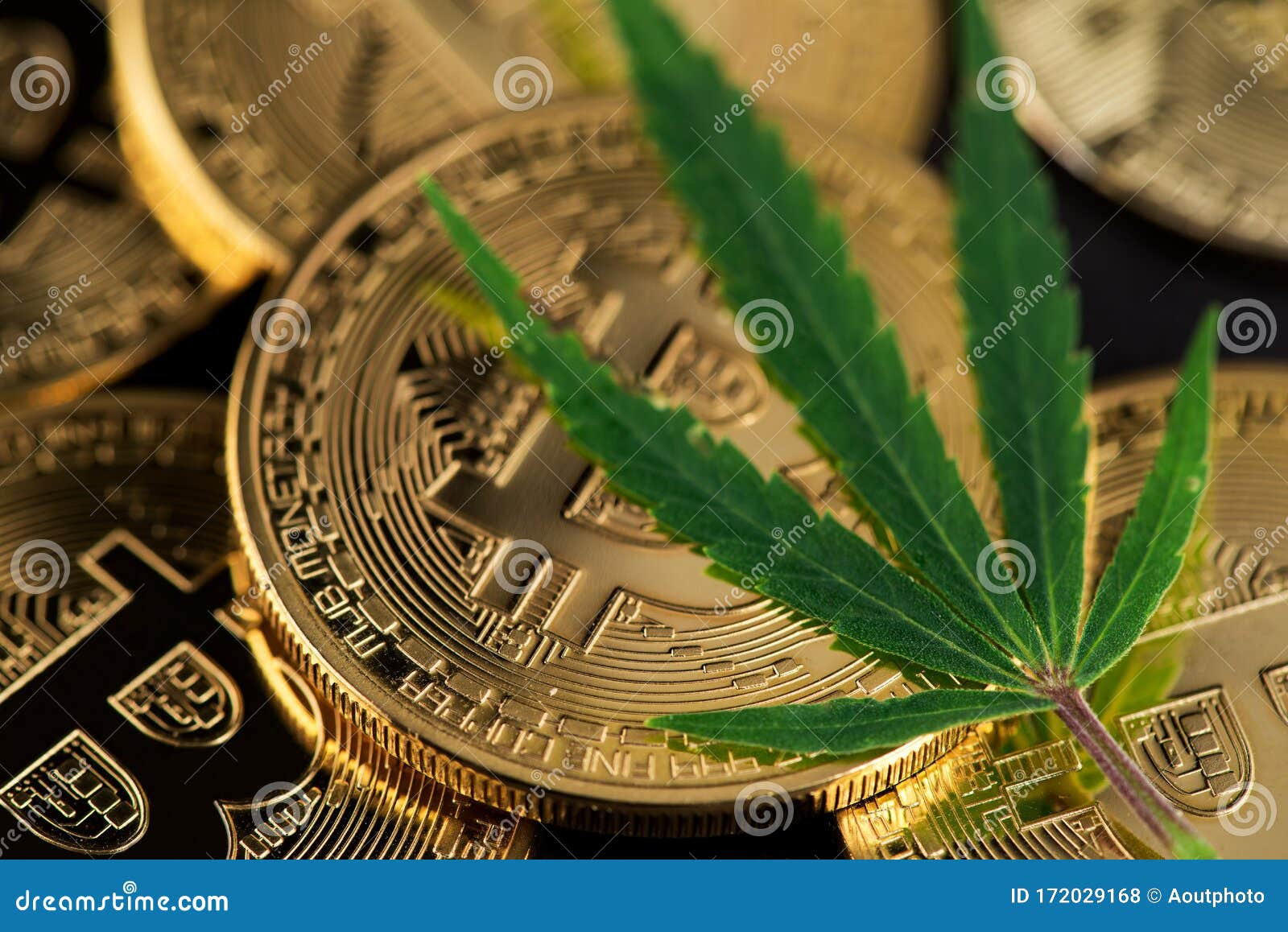 drugs crypto coin