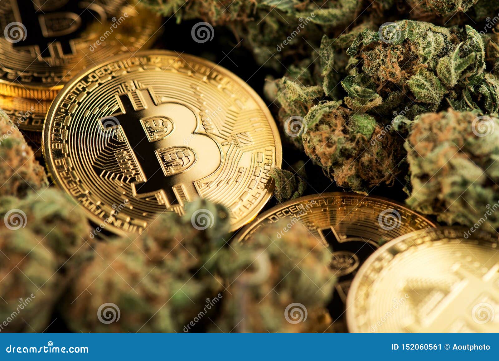cryptocurrency and cannabis